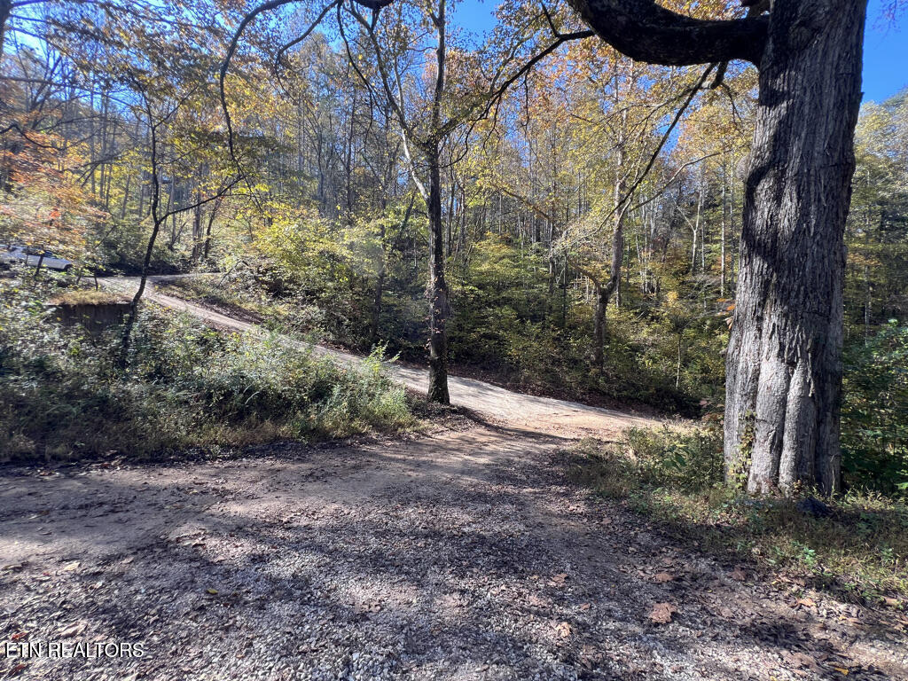 6.43 Acres Property Photo 32