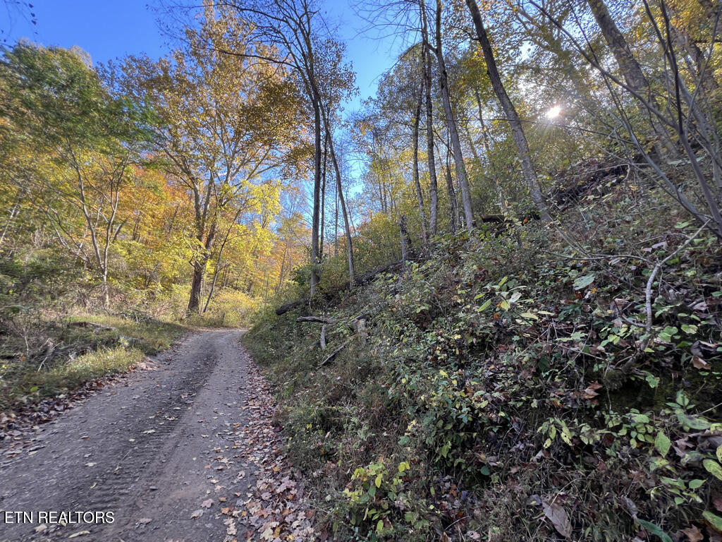 6.43 Acres Property Photo 33