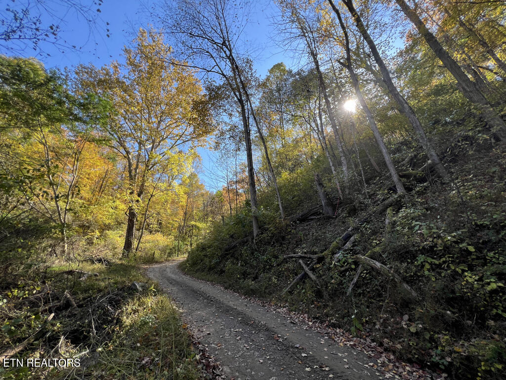 6.43 Acres Property Photo 34