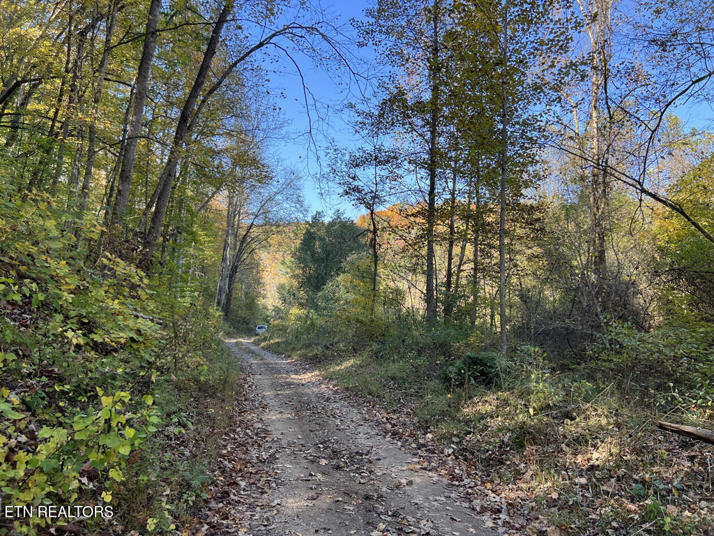 6.43 Acres Property Photo 35