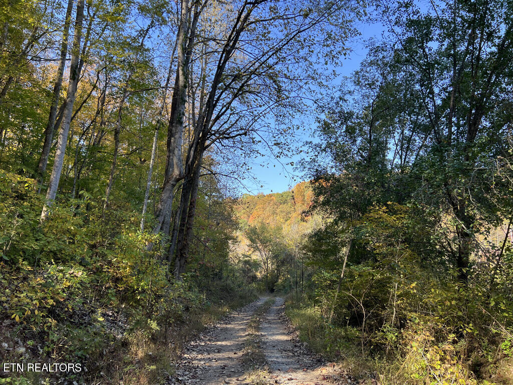 6.43 Acres Property Photo 36