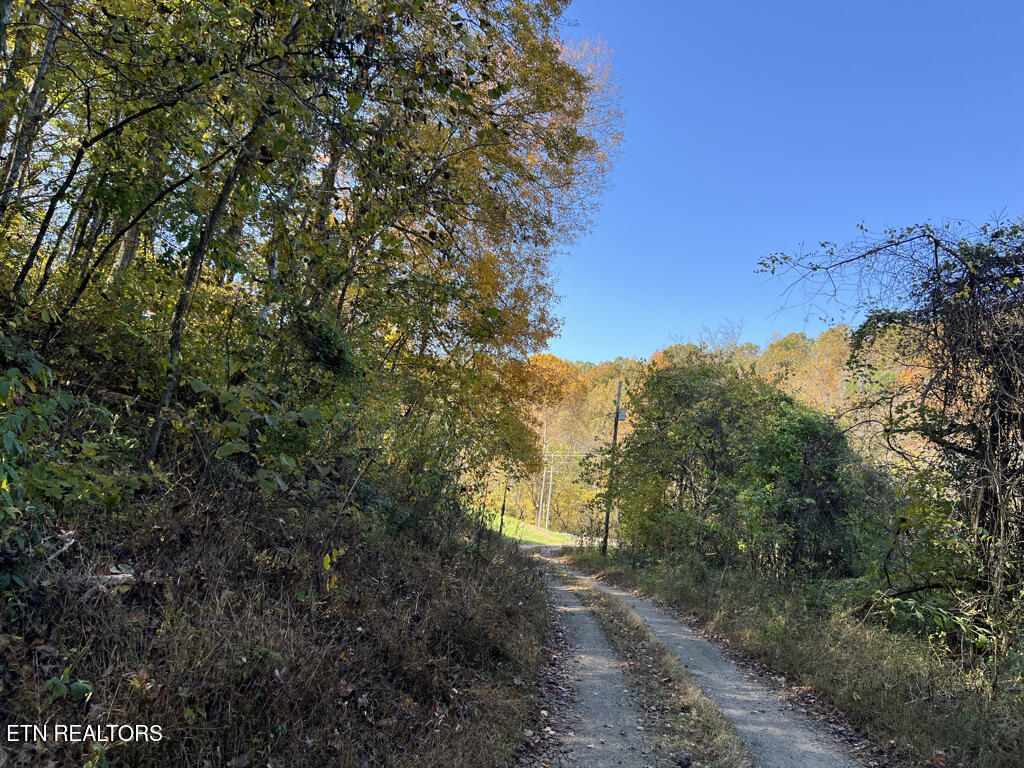 6.43 Acres Property Photo 37
