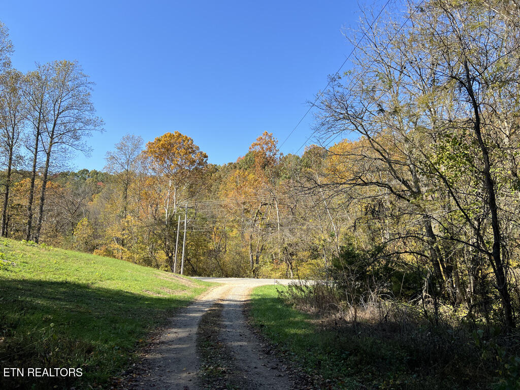 6.43 Acres Property Photo 38