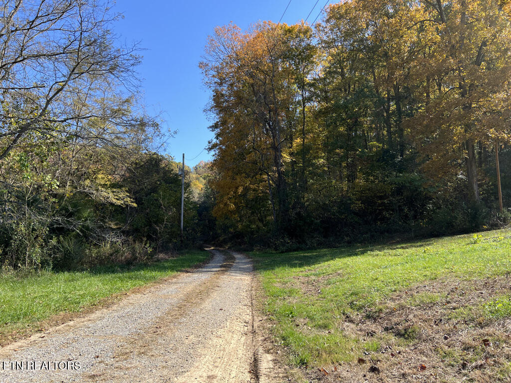 6.43 Acres Property Photo 40