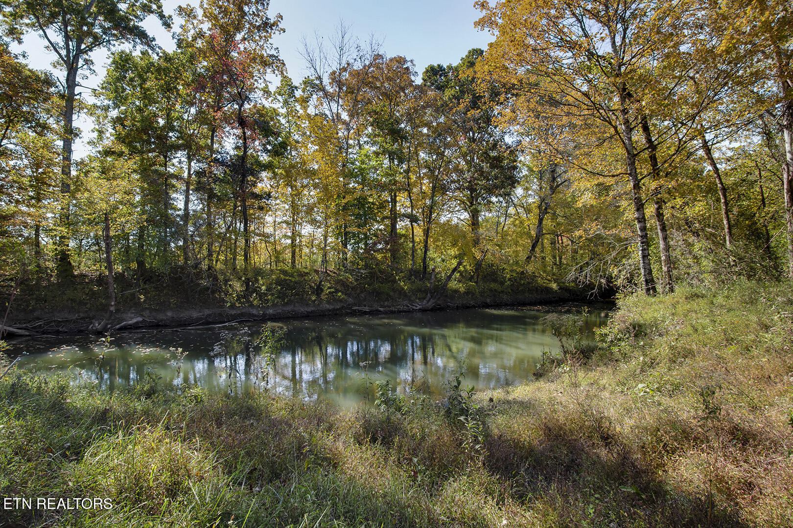 24680 Hwy 58 N Property Photo 13