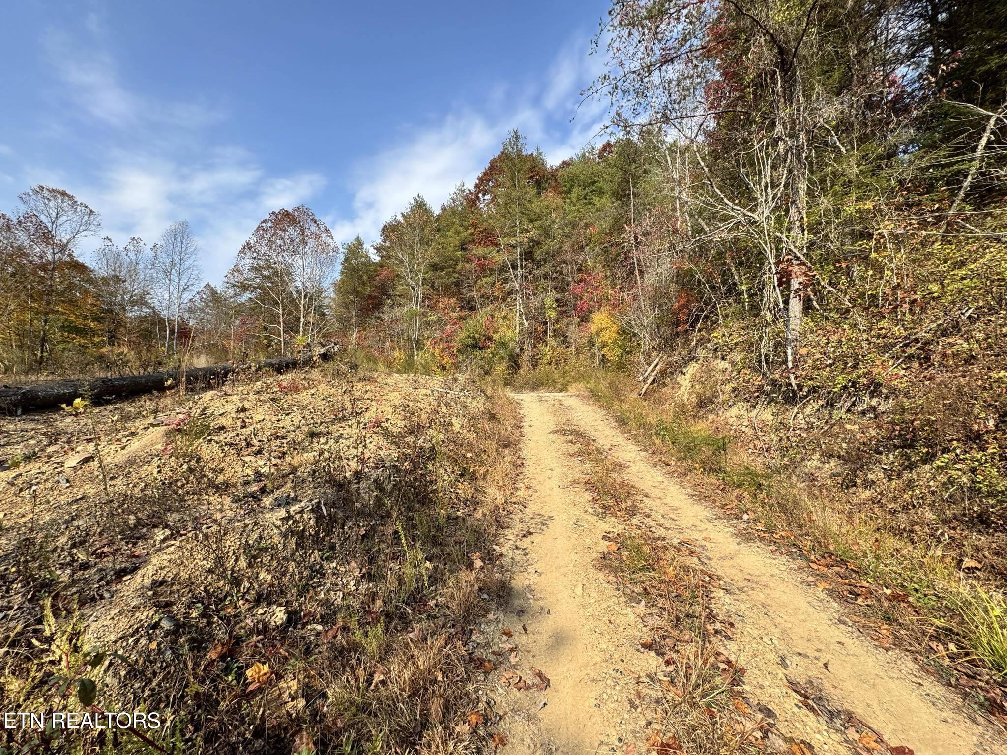 Oneida-paint Rock Rd Property Photo 2