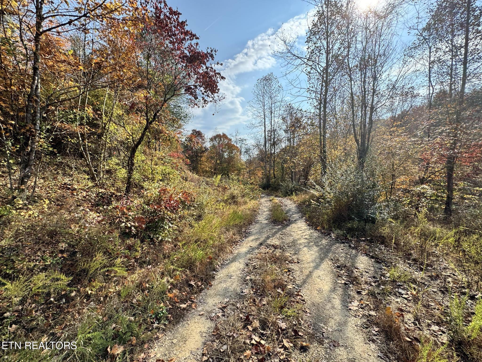 Oneida-paint Rock Rd Property Photo 3