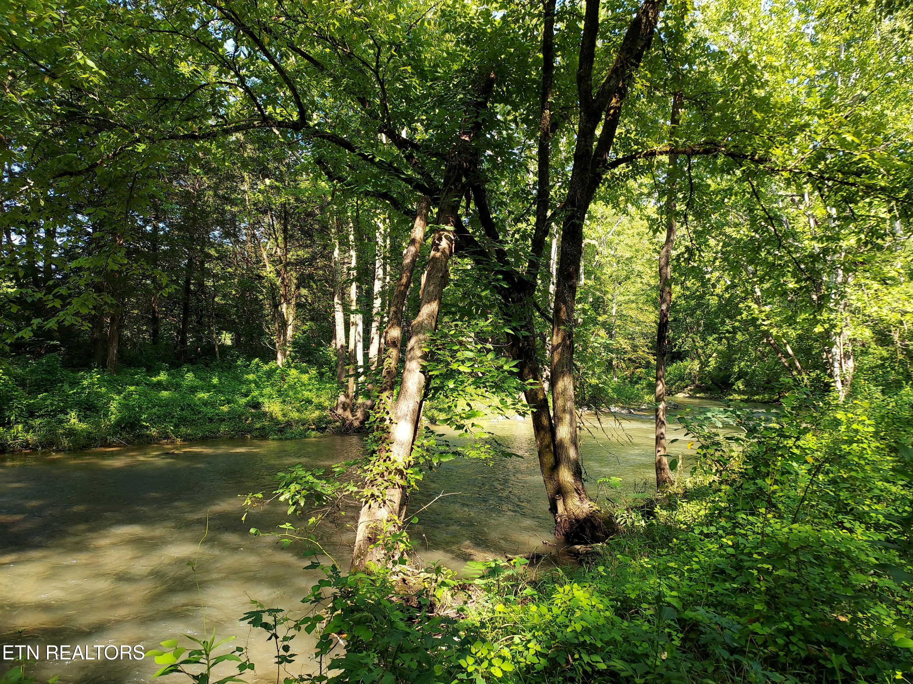 Tbd Paw Paw Rd Property Photo 1