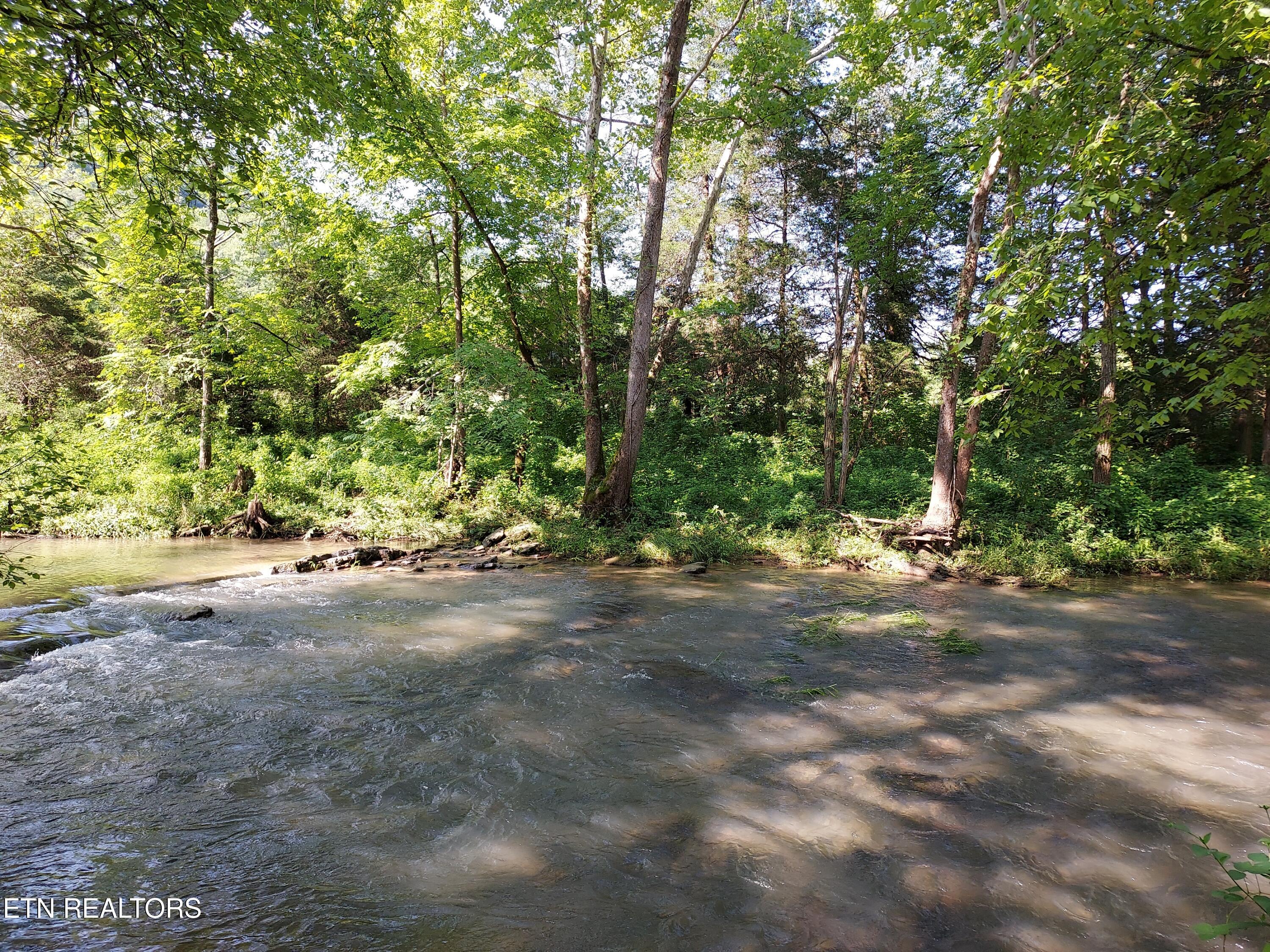 Tbd Paw Paw Rd Property Photo 2