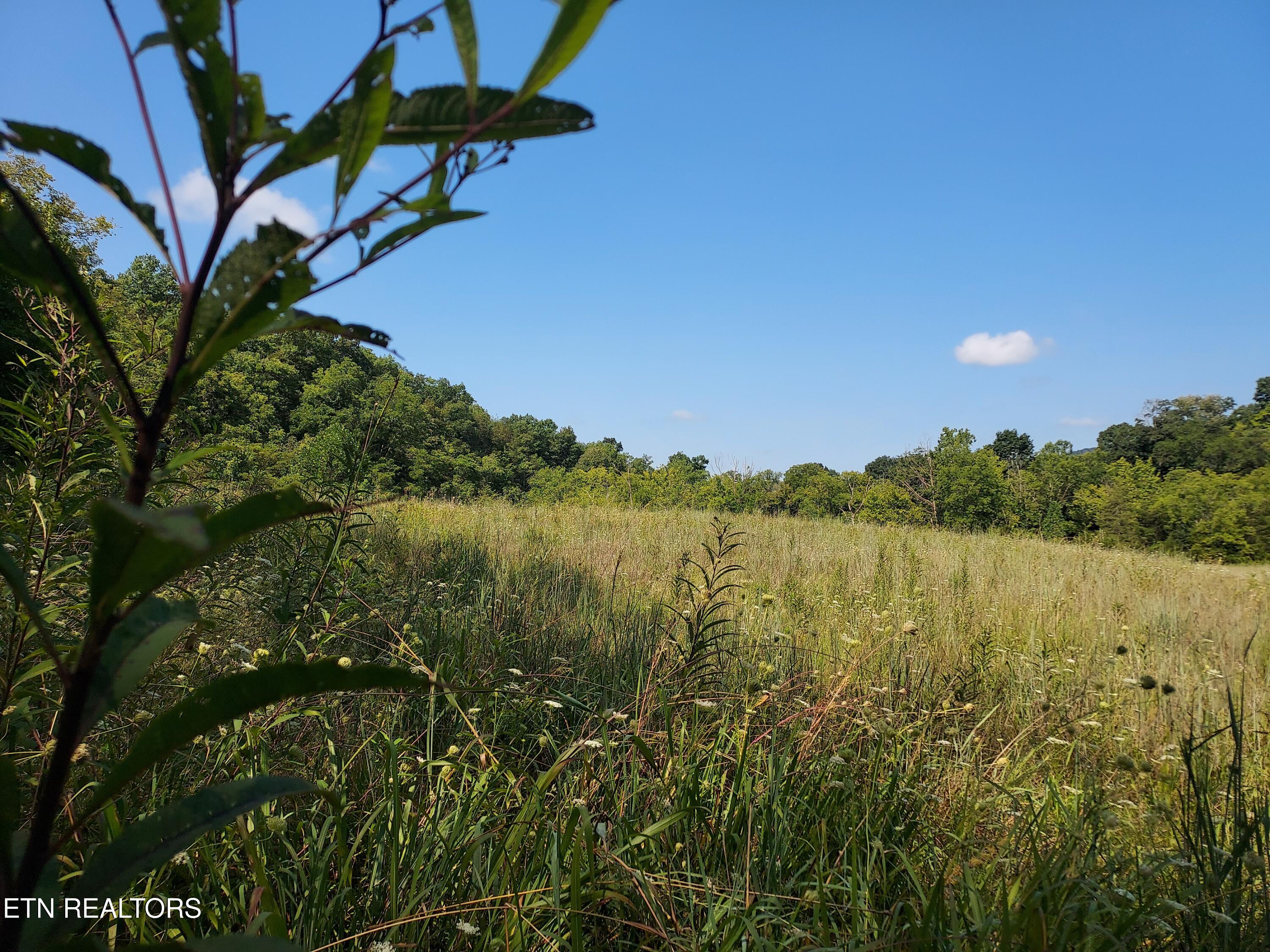 Tbd Paw Paw Rd Property Photo 3