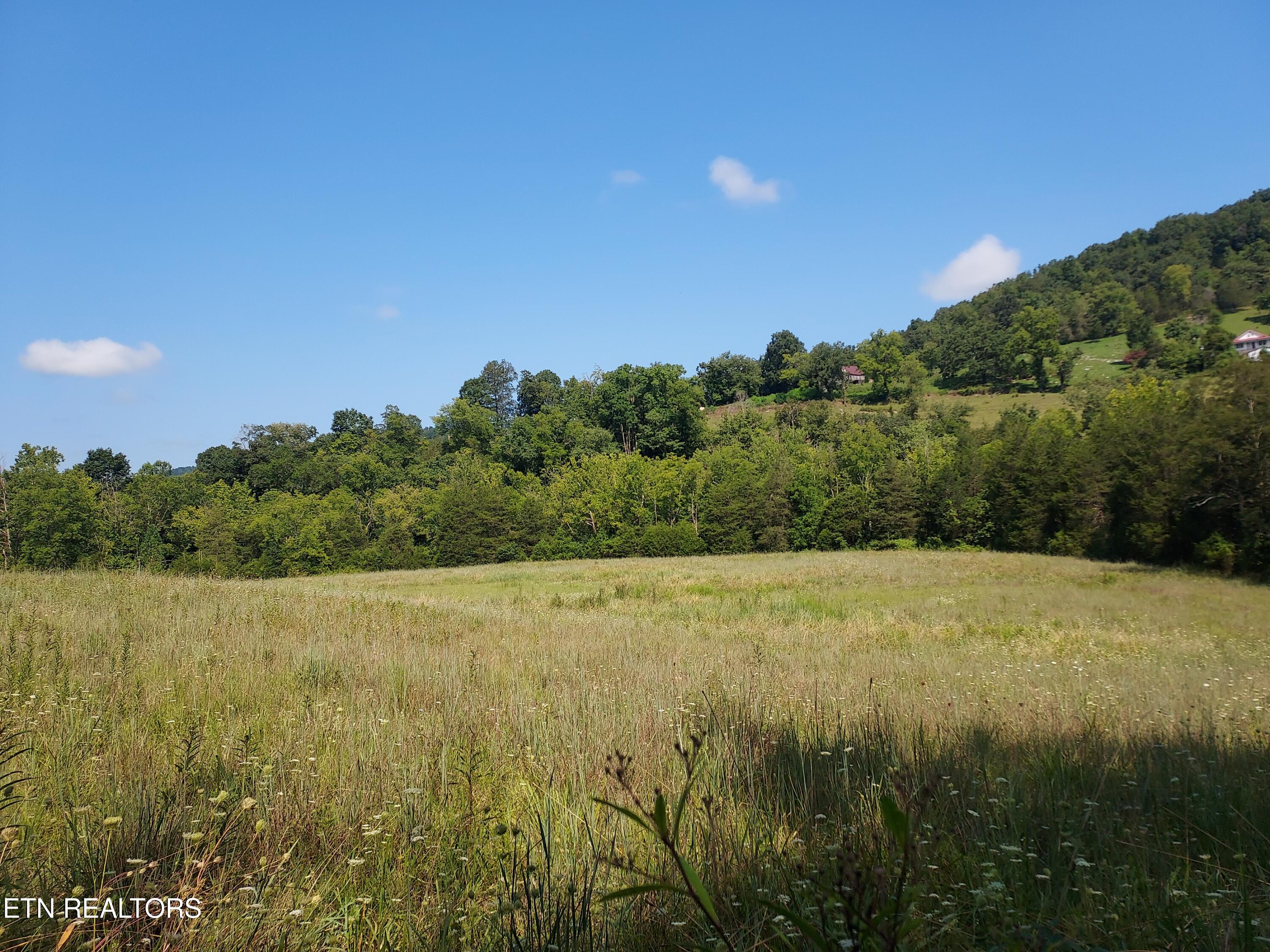 Tbd Paw Paw Rd Property Photo 4