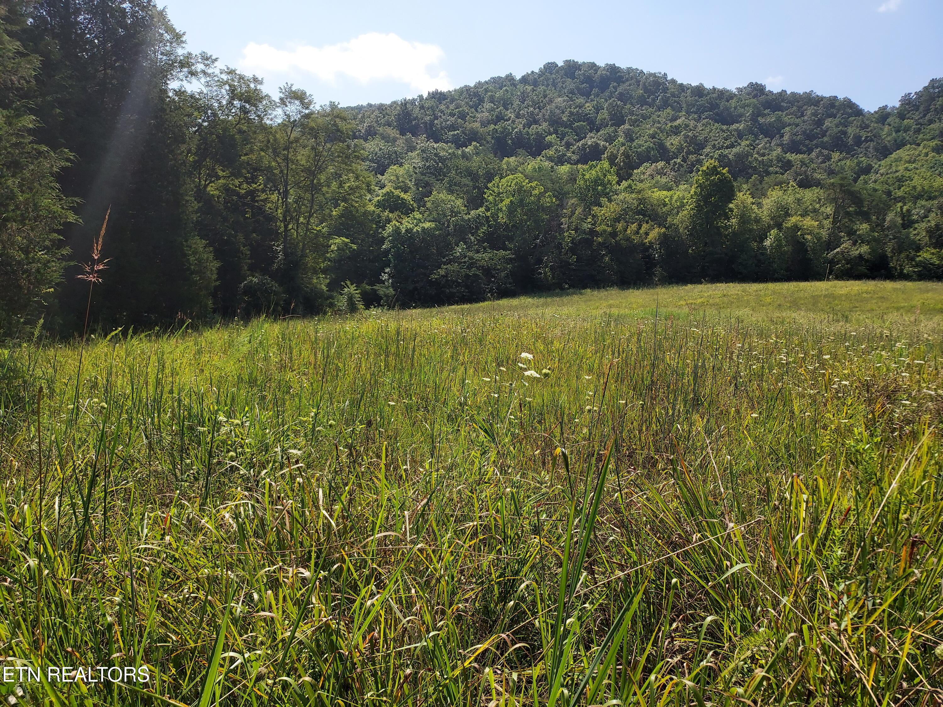 Tbd Paw Paw Rd Property Photo 5