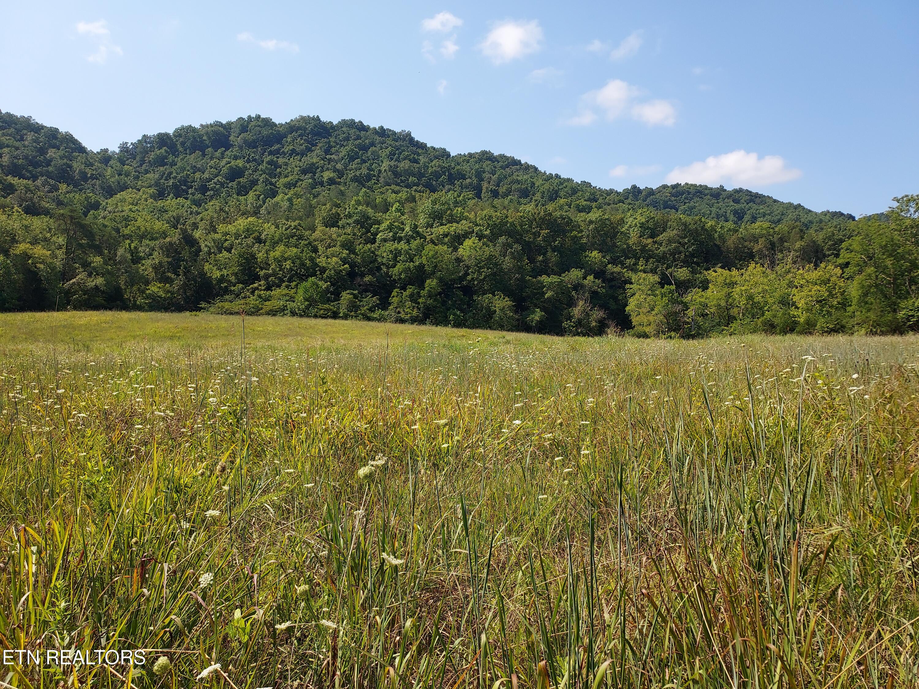 Tbd Paw Paw Rd Property Photo 6