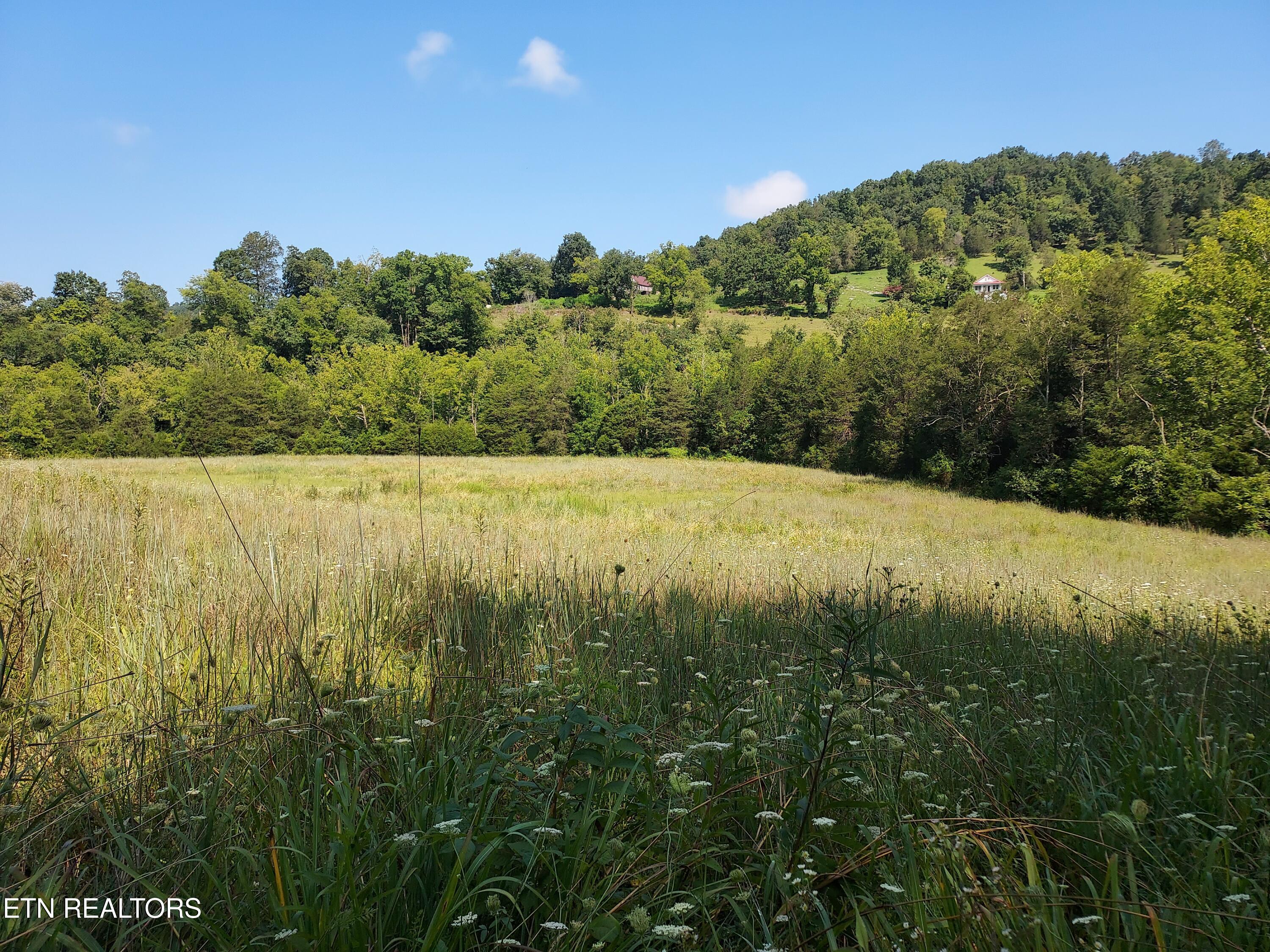 Tbd Paw Paw Rd Property Photo 7