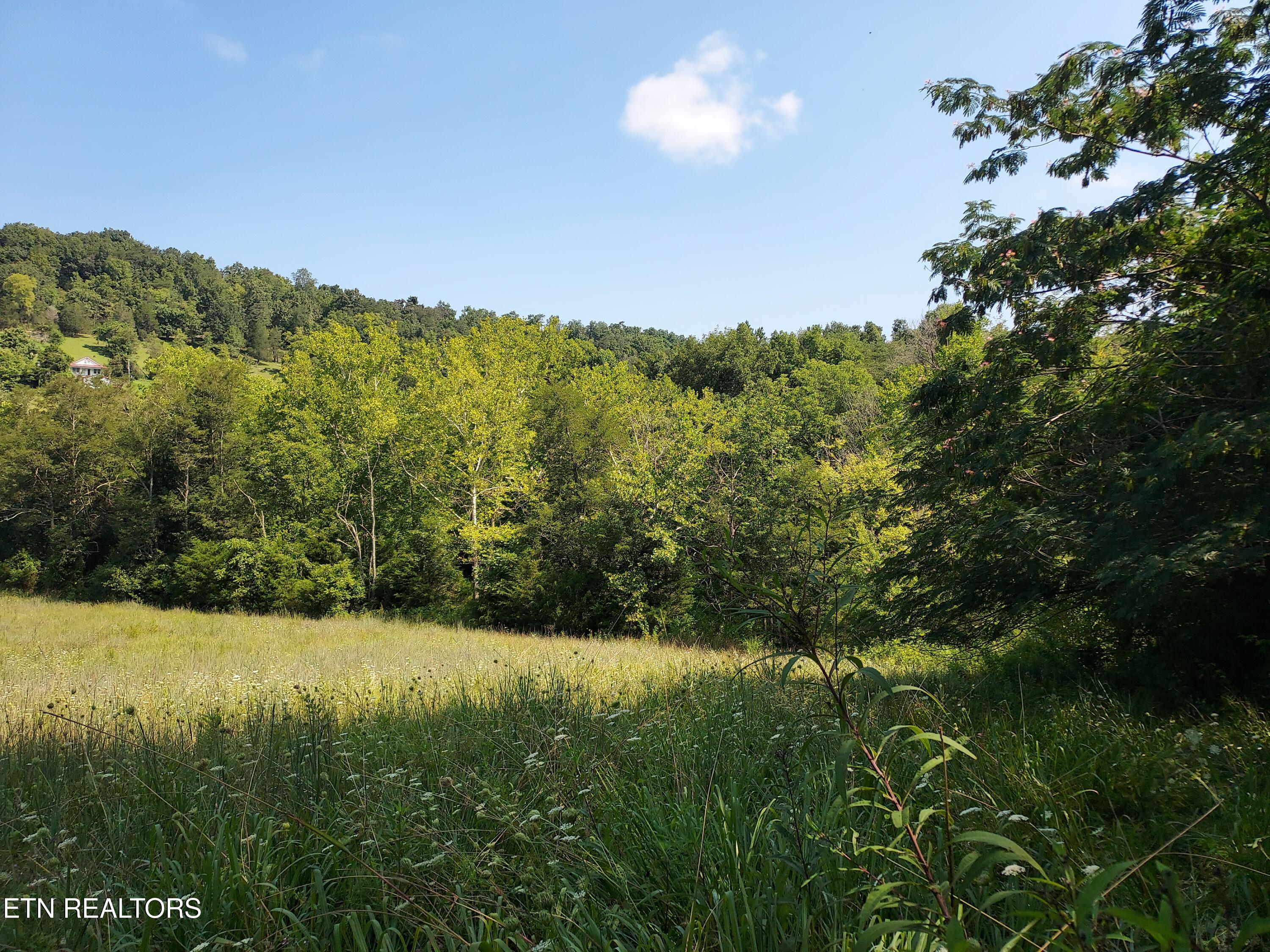 Tbd Paw Paw Rd Property Photo 8
