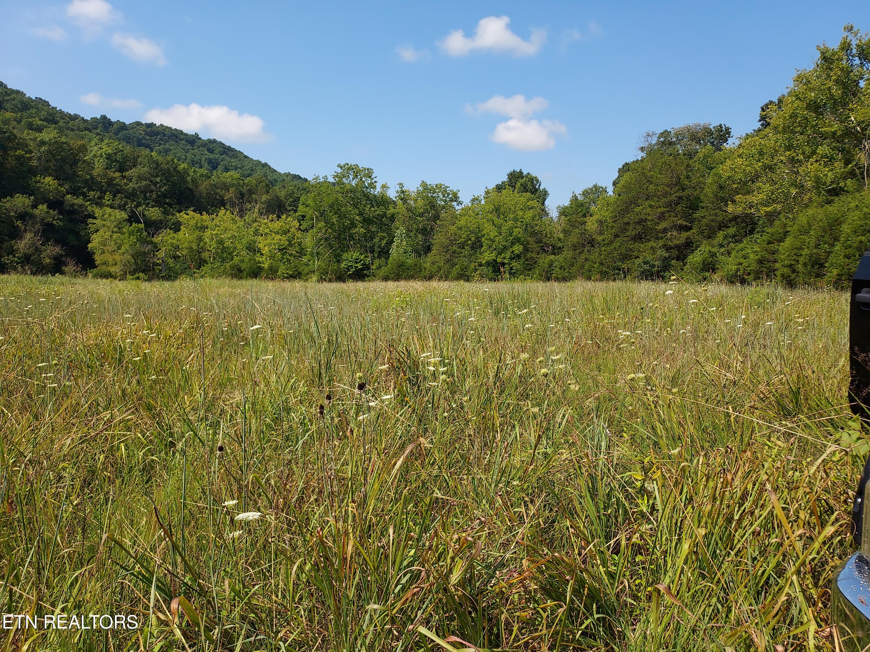 Tbd Paw Paw Rd Property Photo 9
