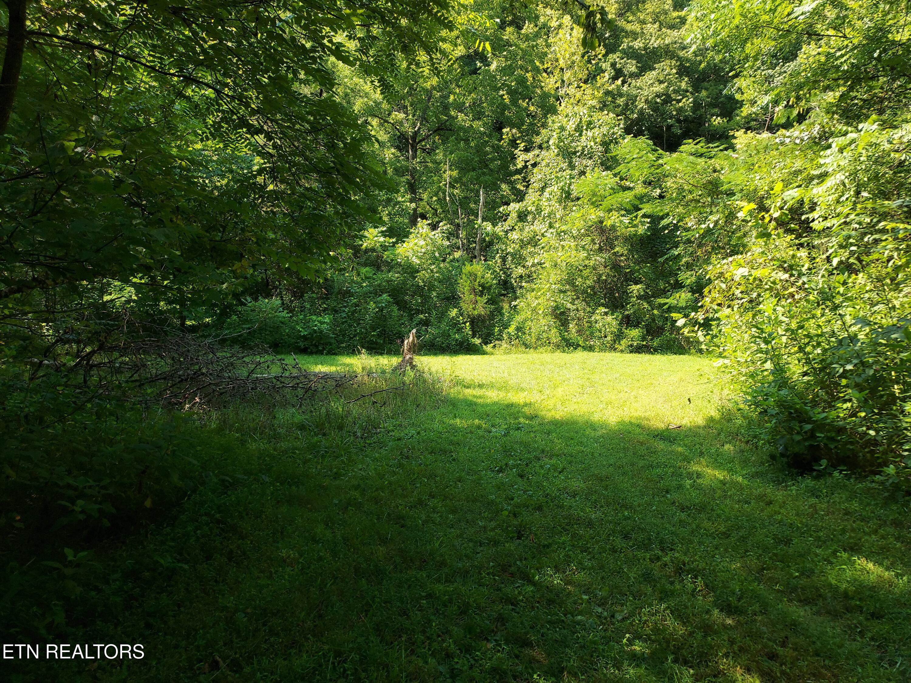 Tbd Paw Paw Rd Property Photo 10