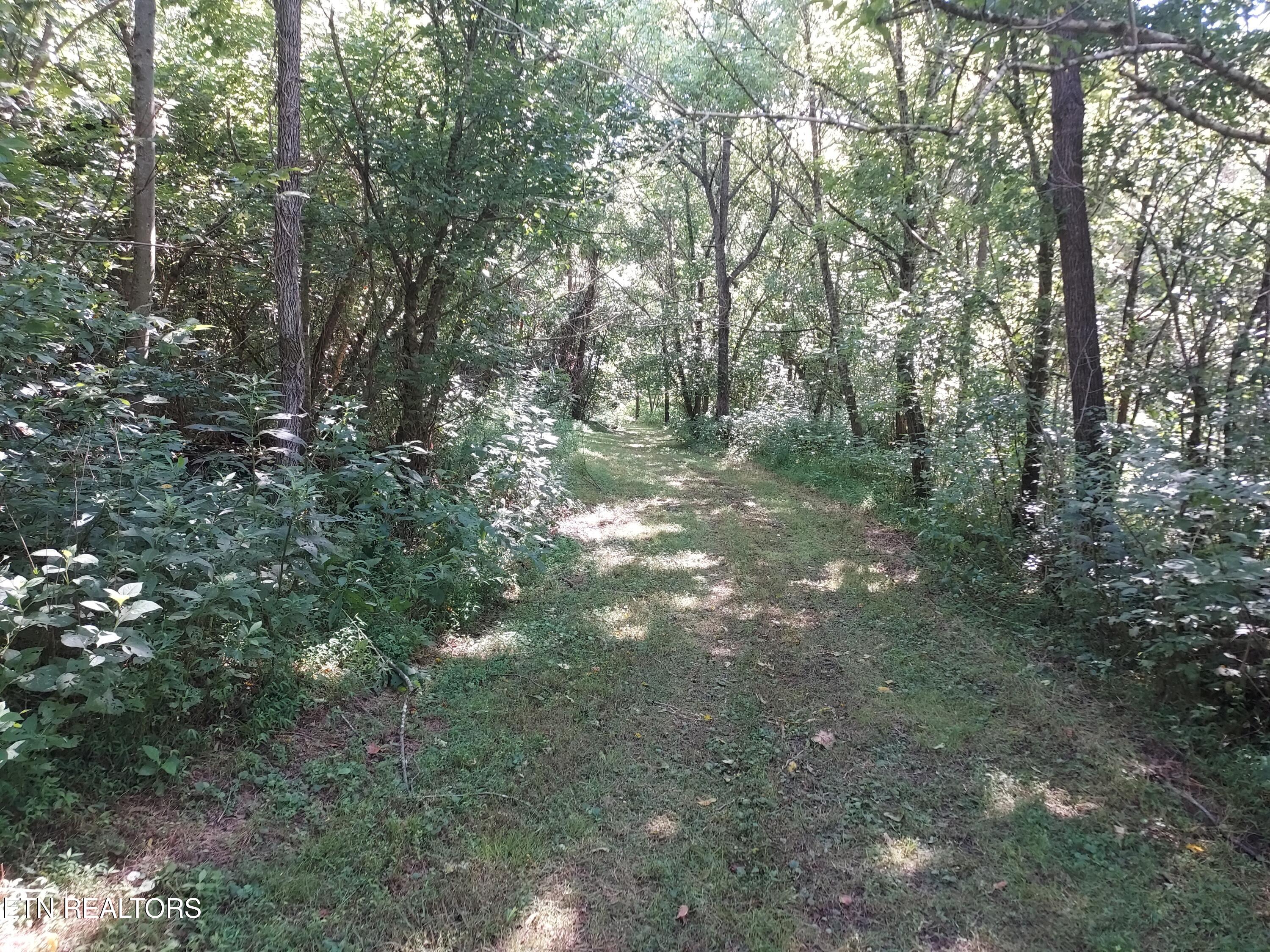 Tbd Paw Paw Rd Property Photo 14