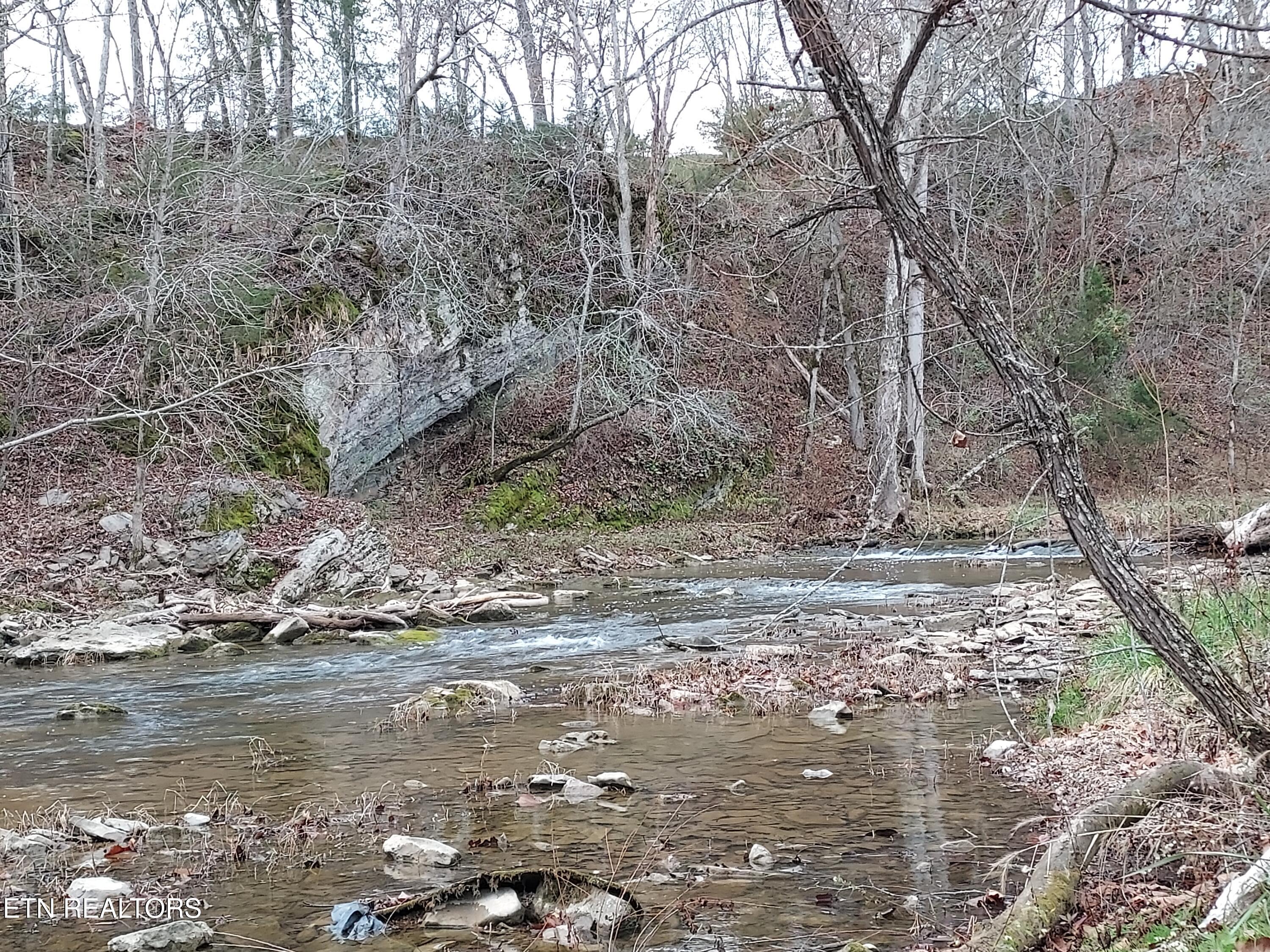 Tbd Paw Paw Rd Property Photo 19