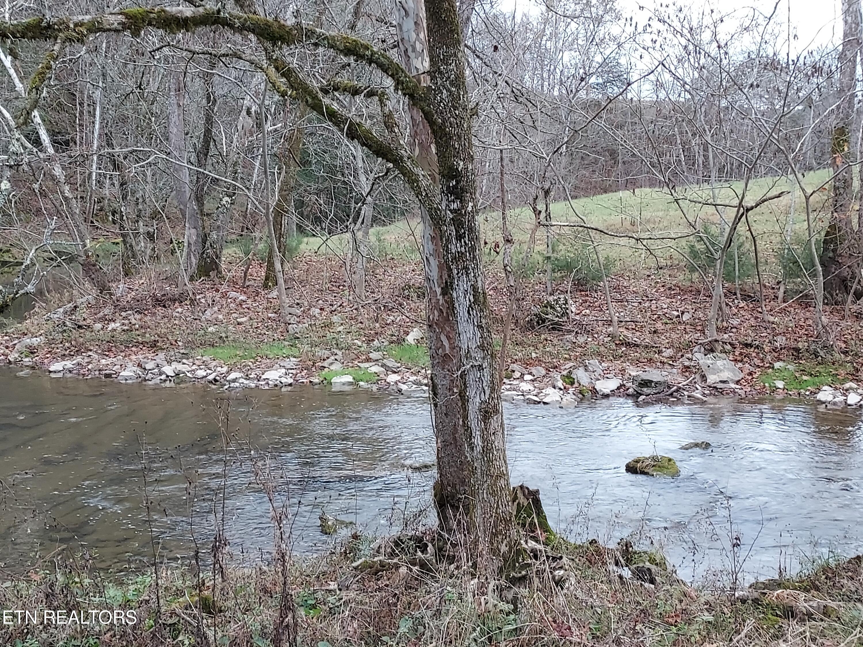 Tbd Paw Paw Rd Property Photo 21
