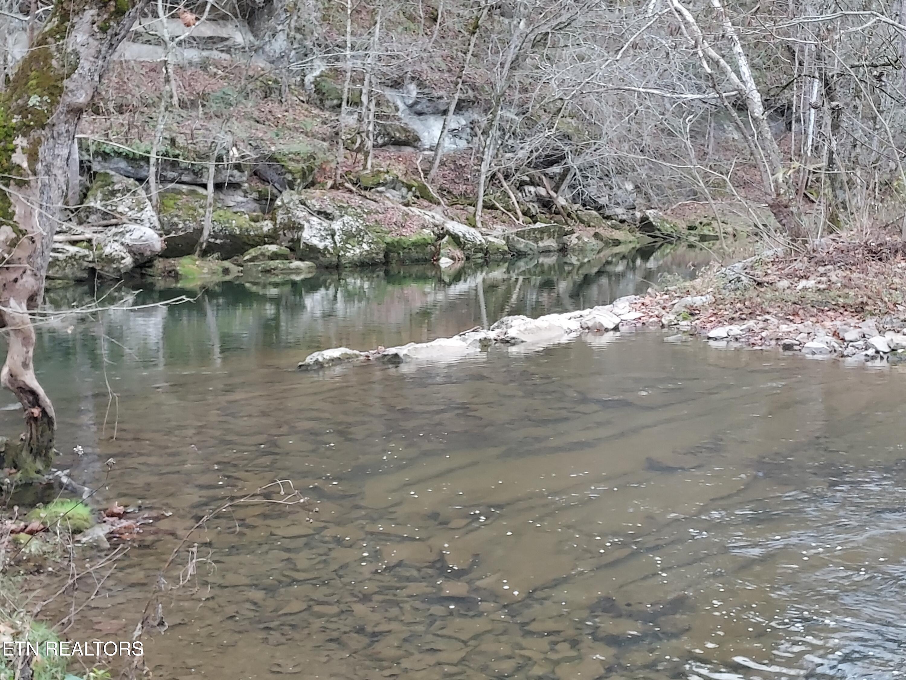 Tbd Paw Paw Rd Property Photo 22