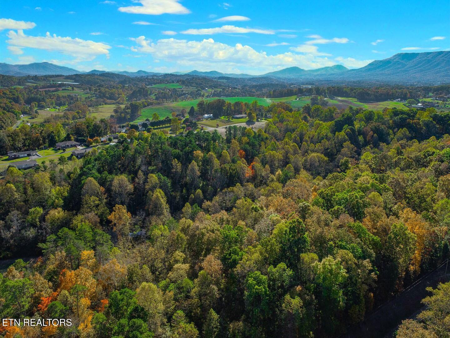 1409&1405 Timber Trail Property Photo 7