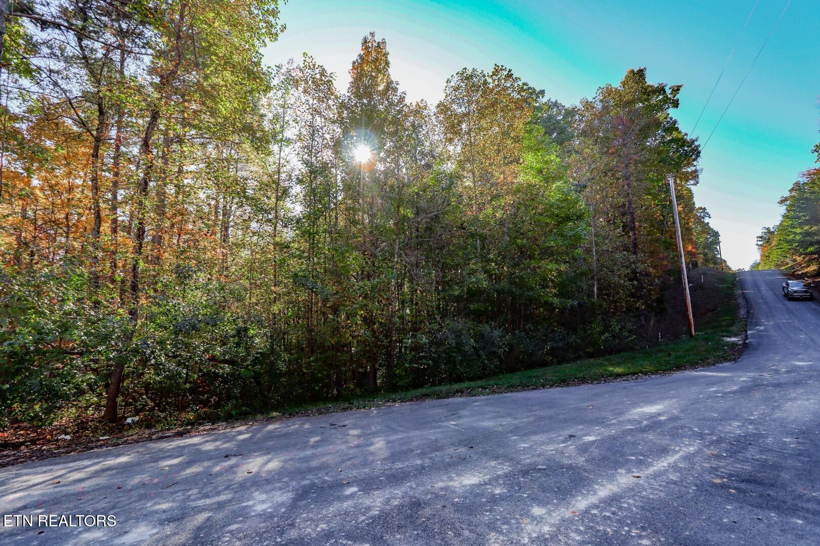 1409&1405 Timber Trail Property Photo 12