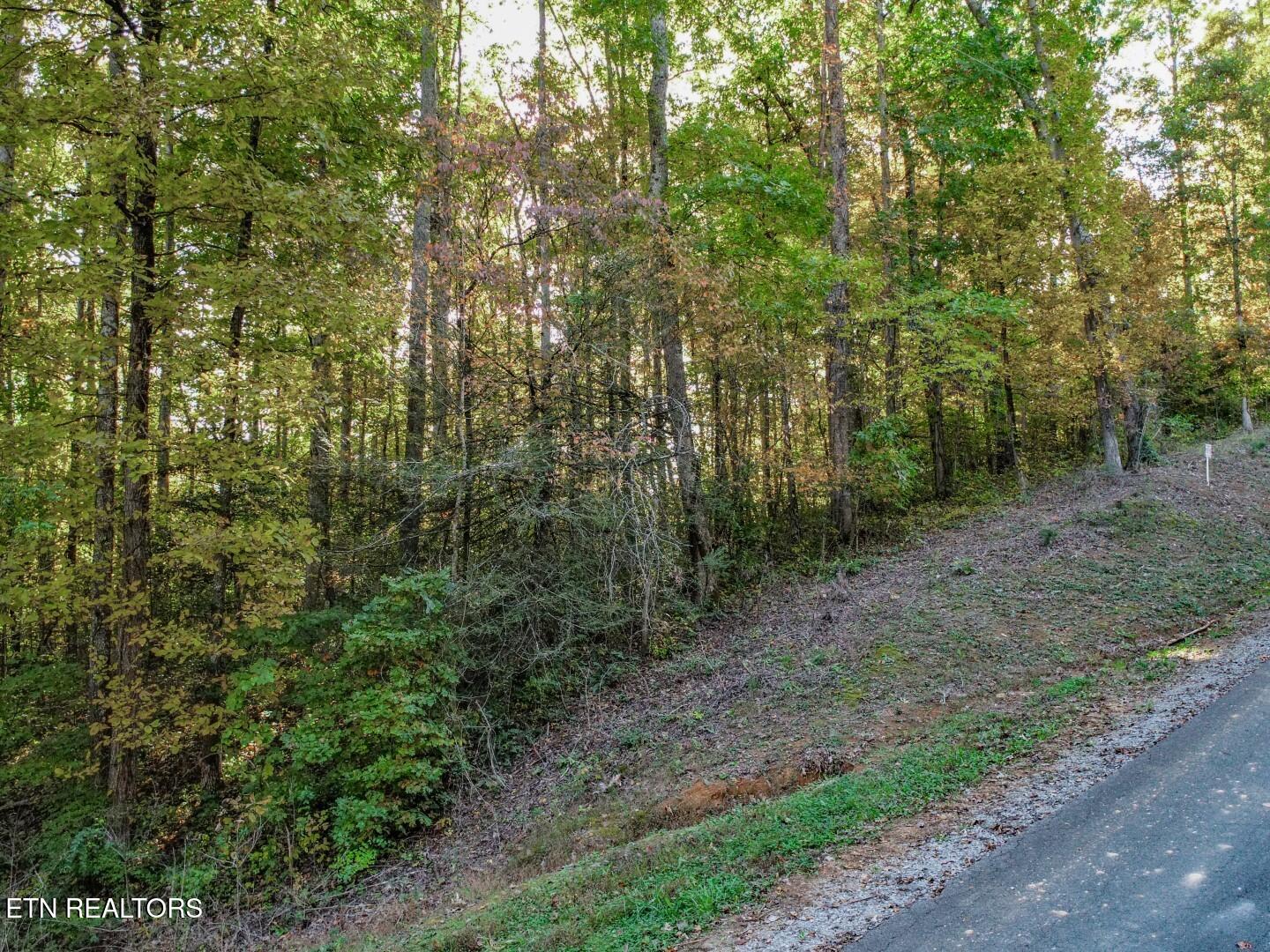 1409&1405 Timber Trail Property Photo 13