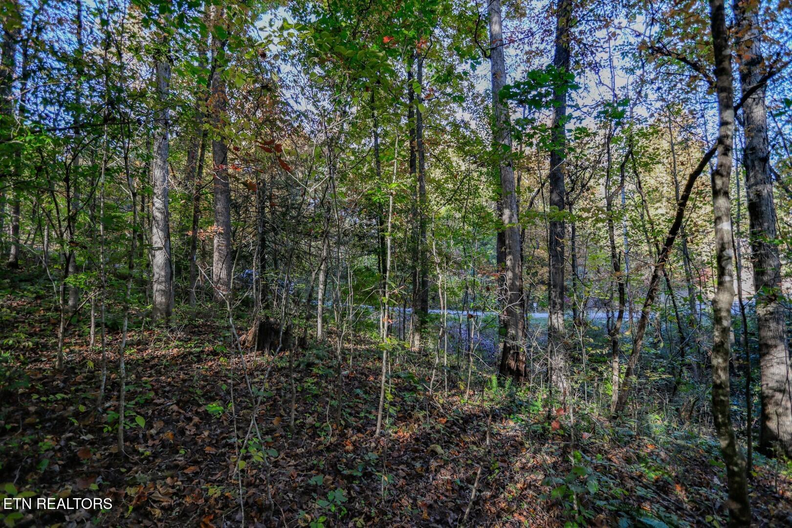 1409&1405 Timber Trail Property Photo 14