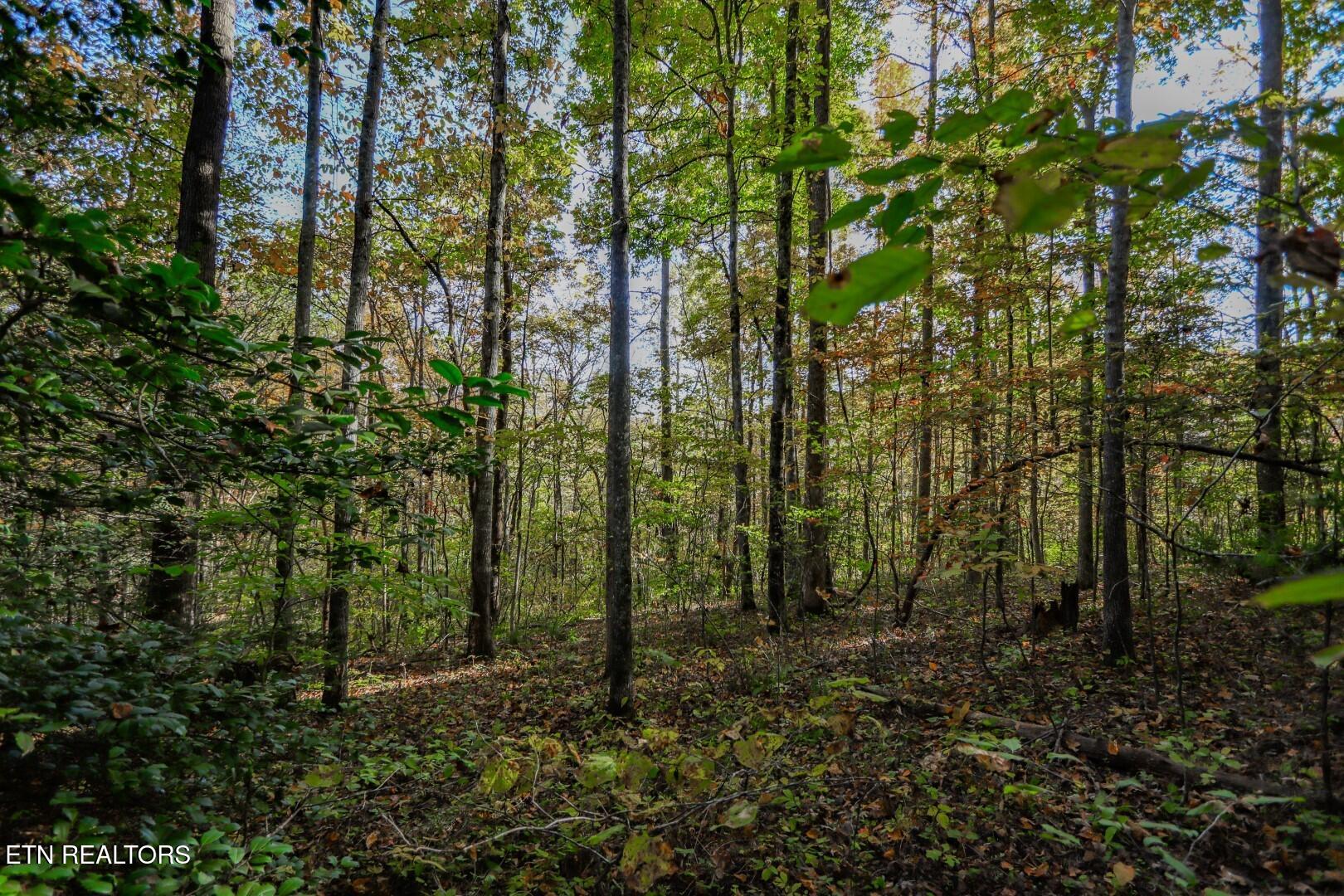 1409&1405 Timber Trail Property Photo 15