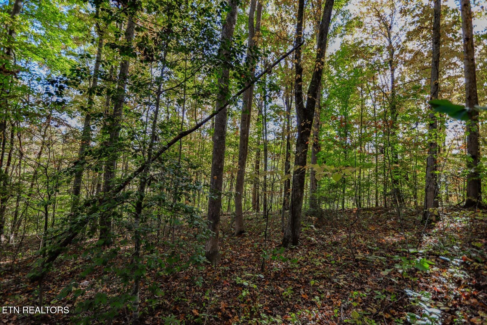 1409&1405 Timber Trail Property Photo 16