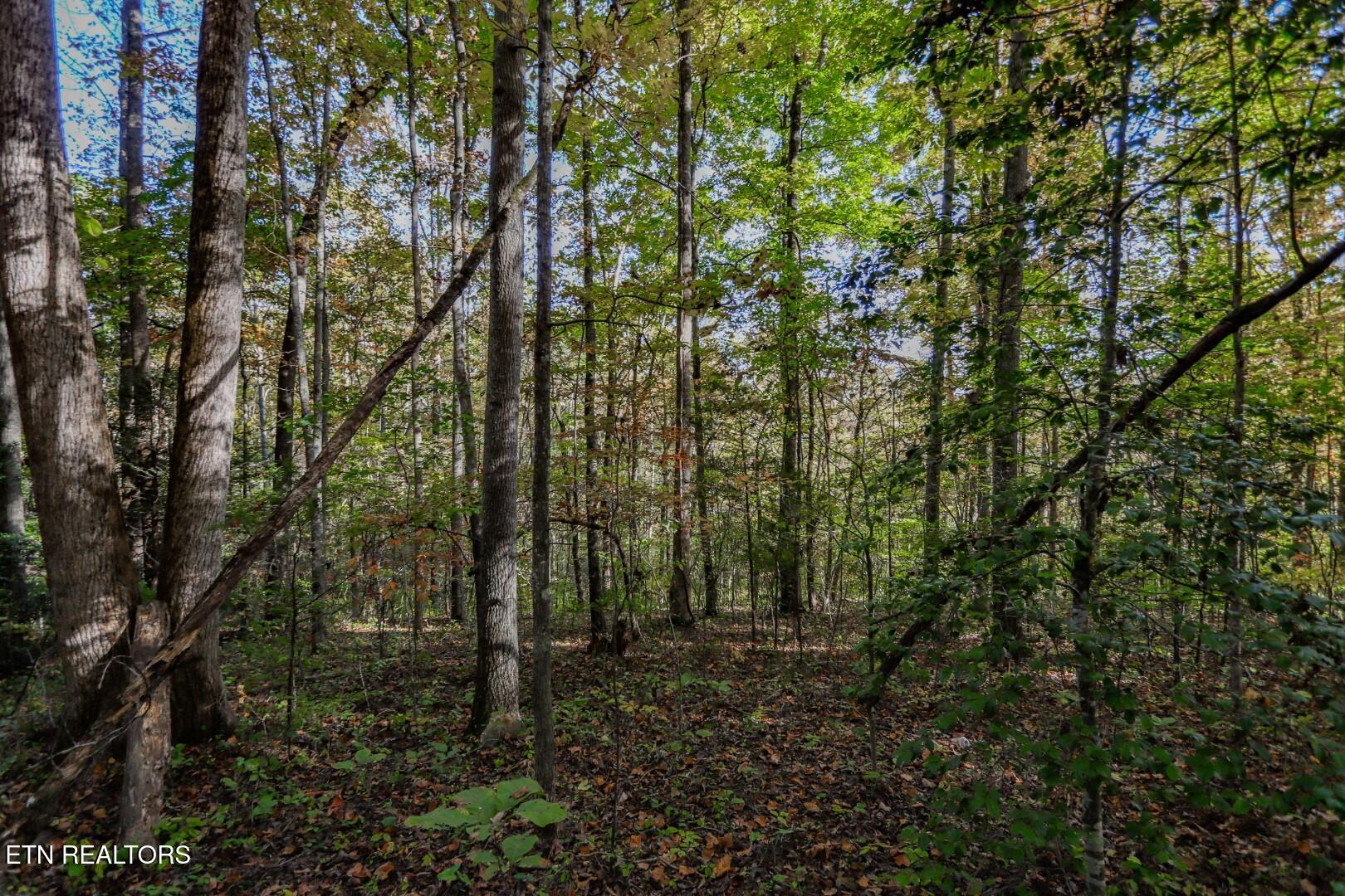1409&1405 Timber Trail Property Photo 17