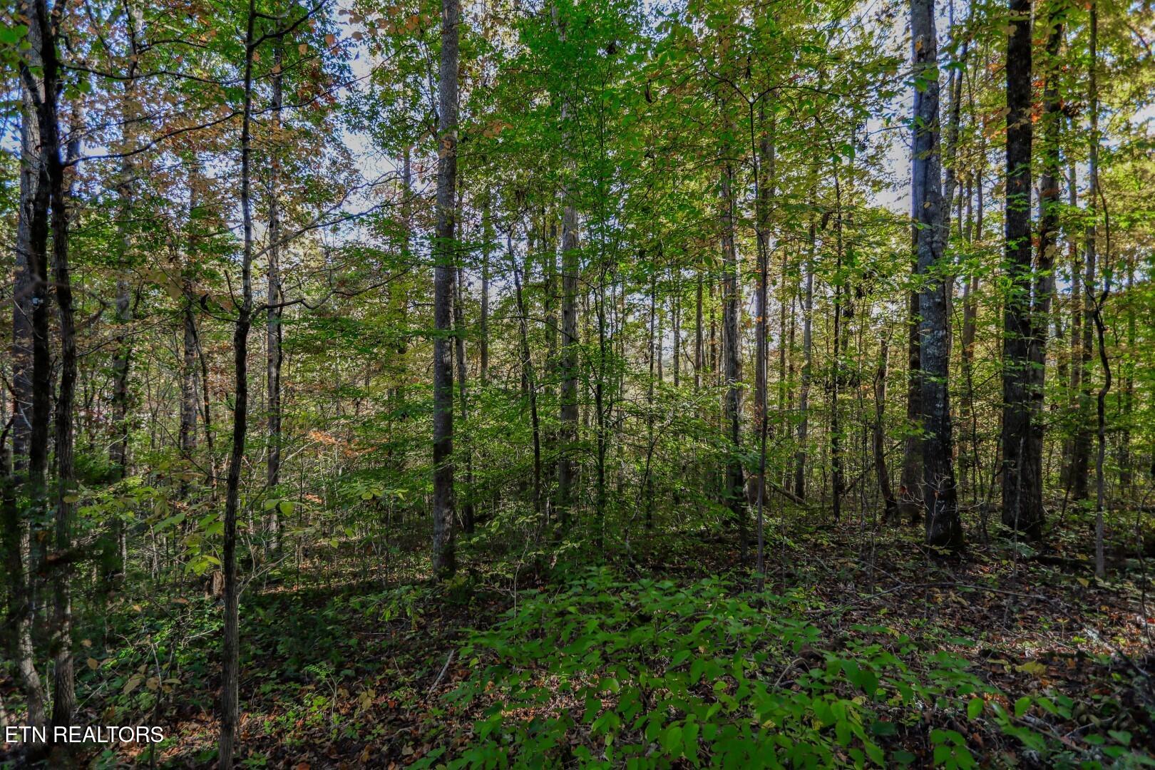 1409&1405 Timber Trail Property Photo 18