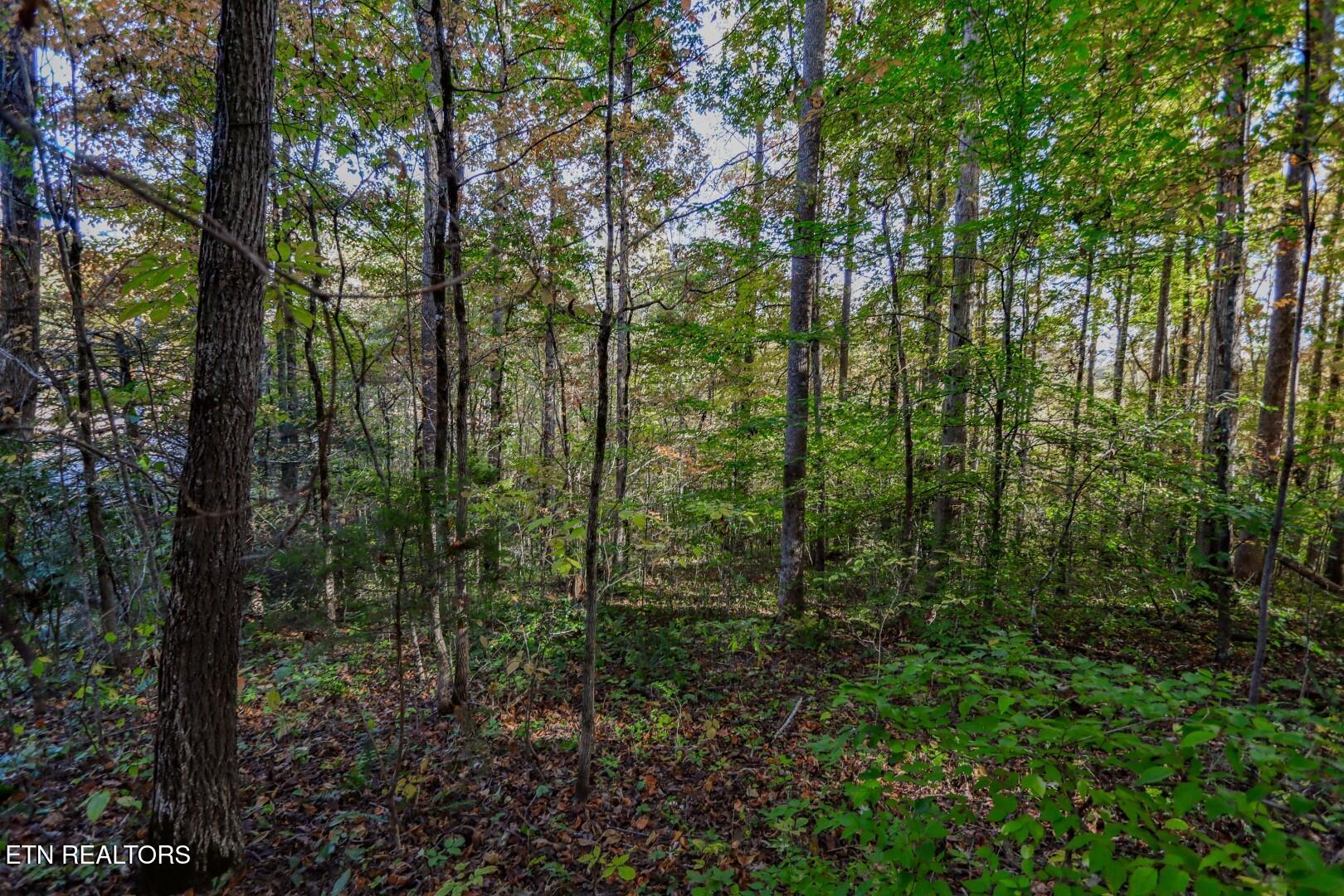 1409&1405 Timber Trail Property Photo 19