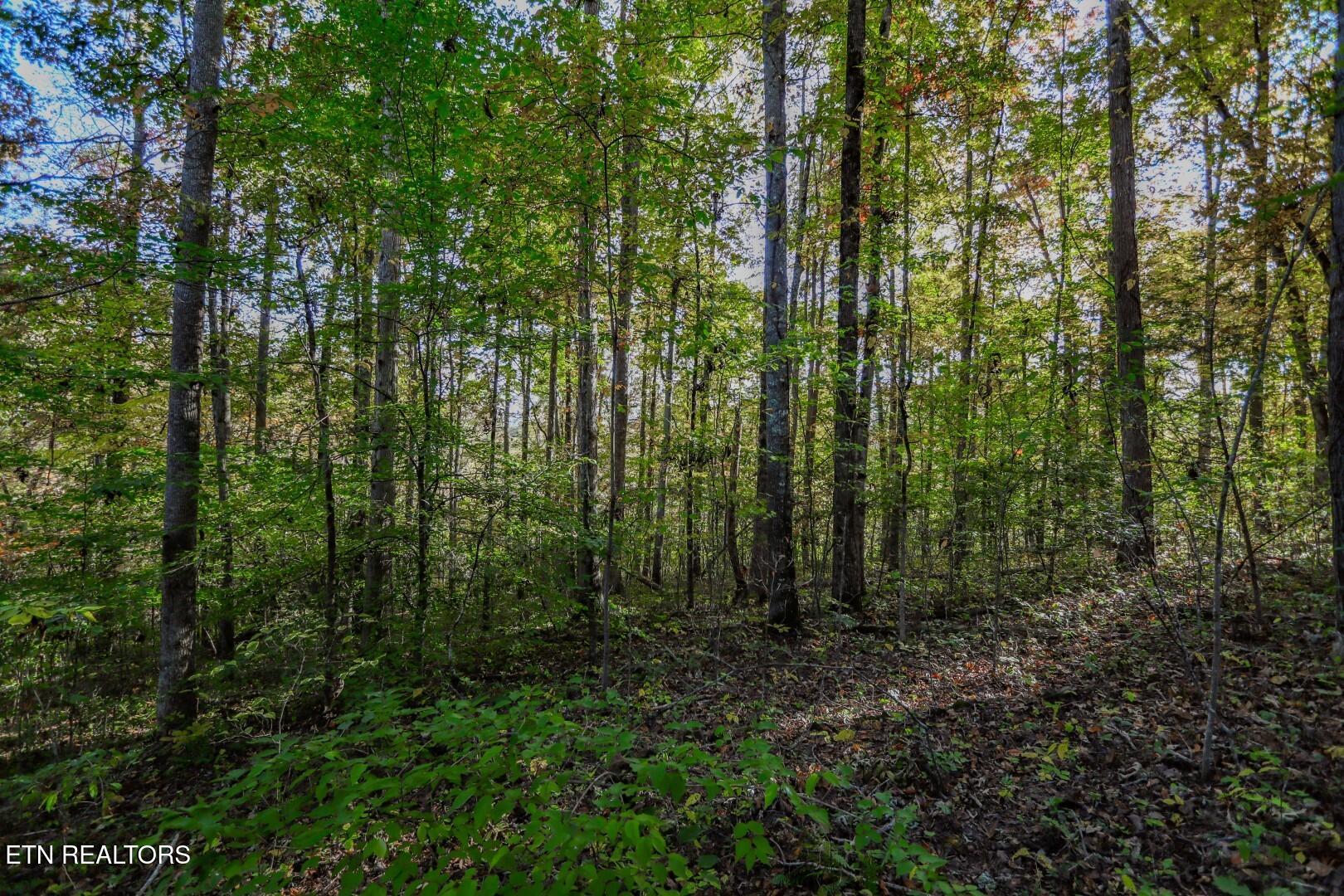 1409&1405 Timber Trail Property Photo 20