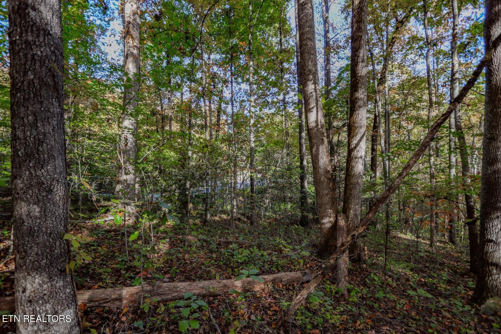 1409&1405 Timber Trail Property Photo 21