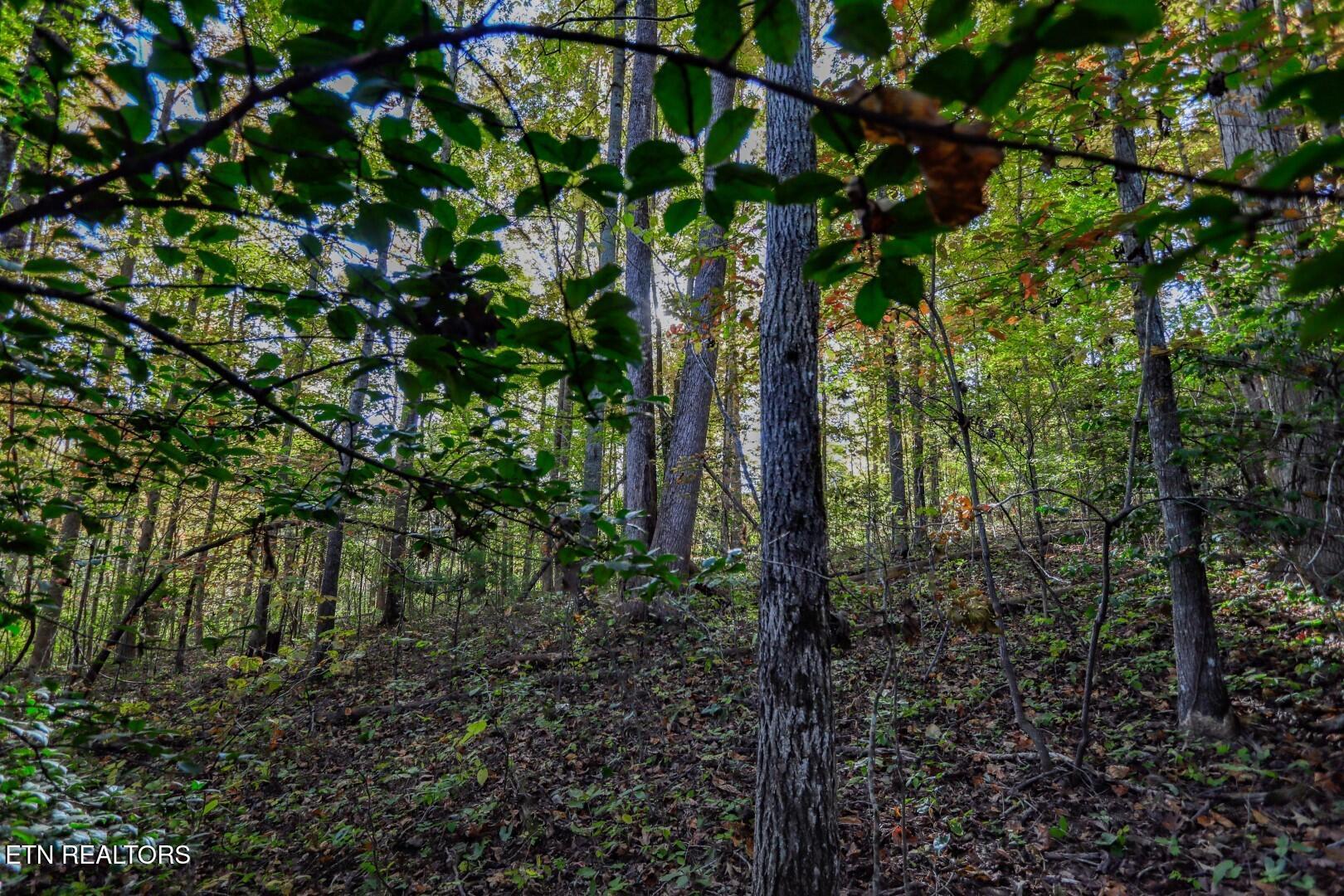 1409&1405 Timber Trail Property Photo 22