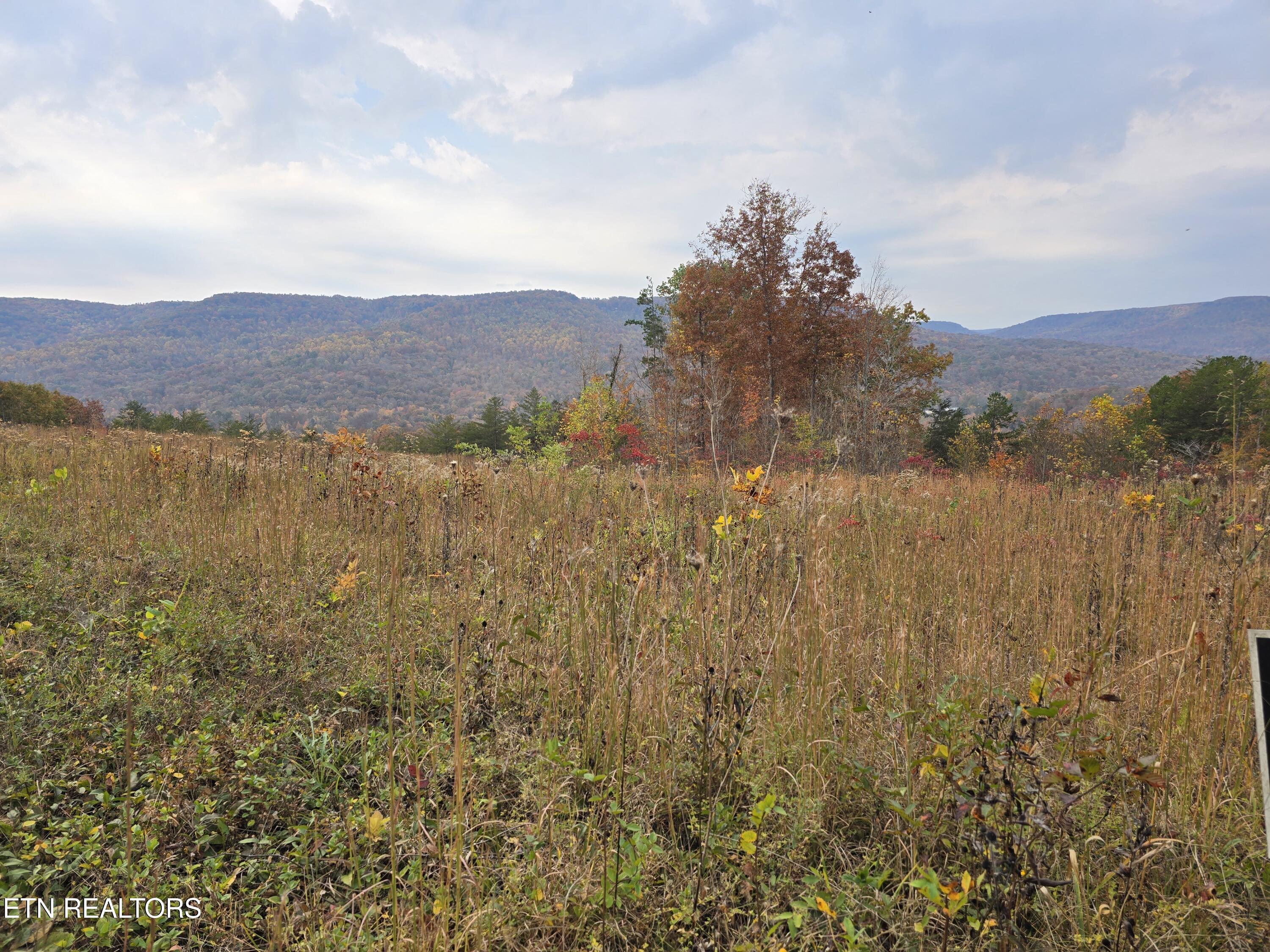 Lot 72 Tomahawk Rd Property Photo 3