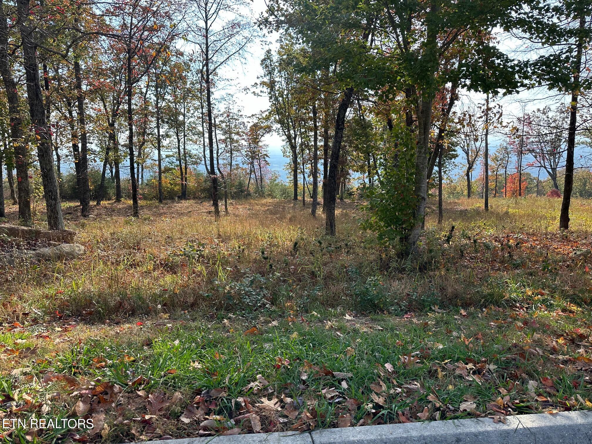 288 Duckwood Lane Property Photo 2