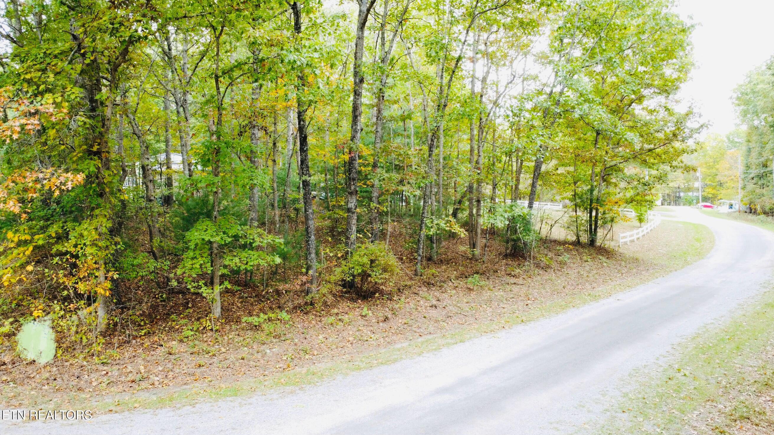 100 Ola Circle Property Photo 8