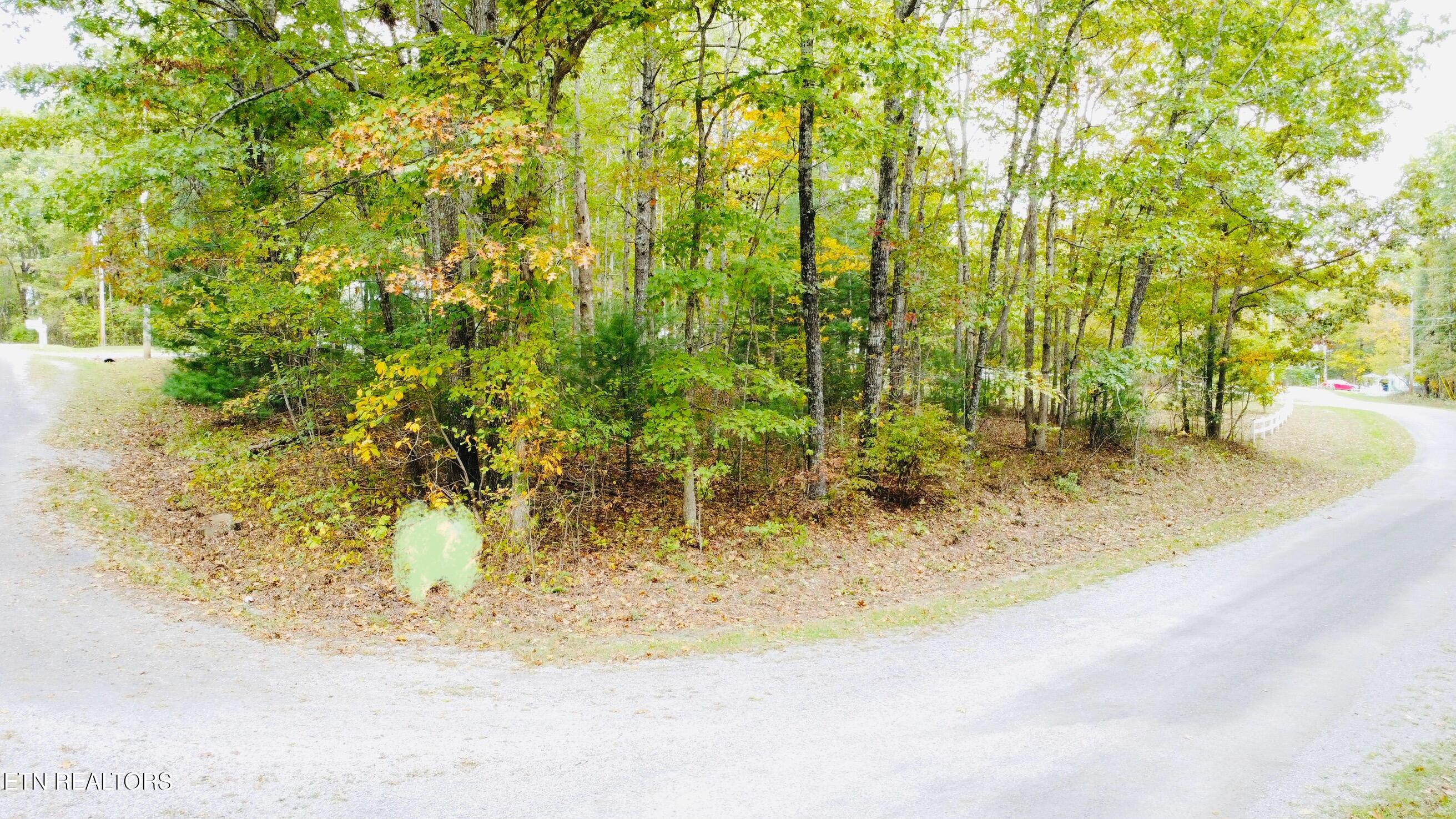 100 Ola Circle Property Photo 10