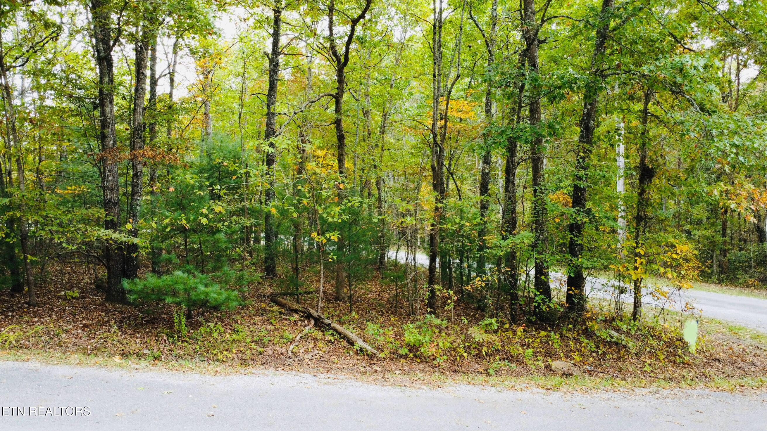 100 Ola Circle Property Photo 14