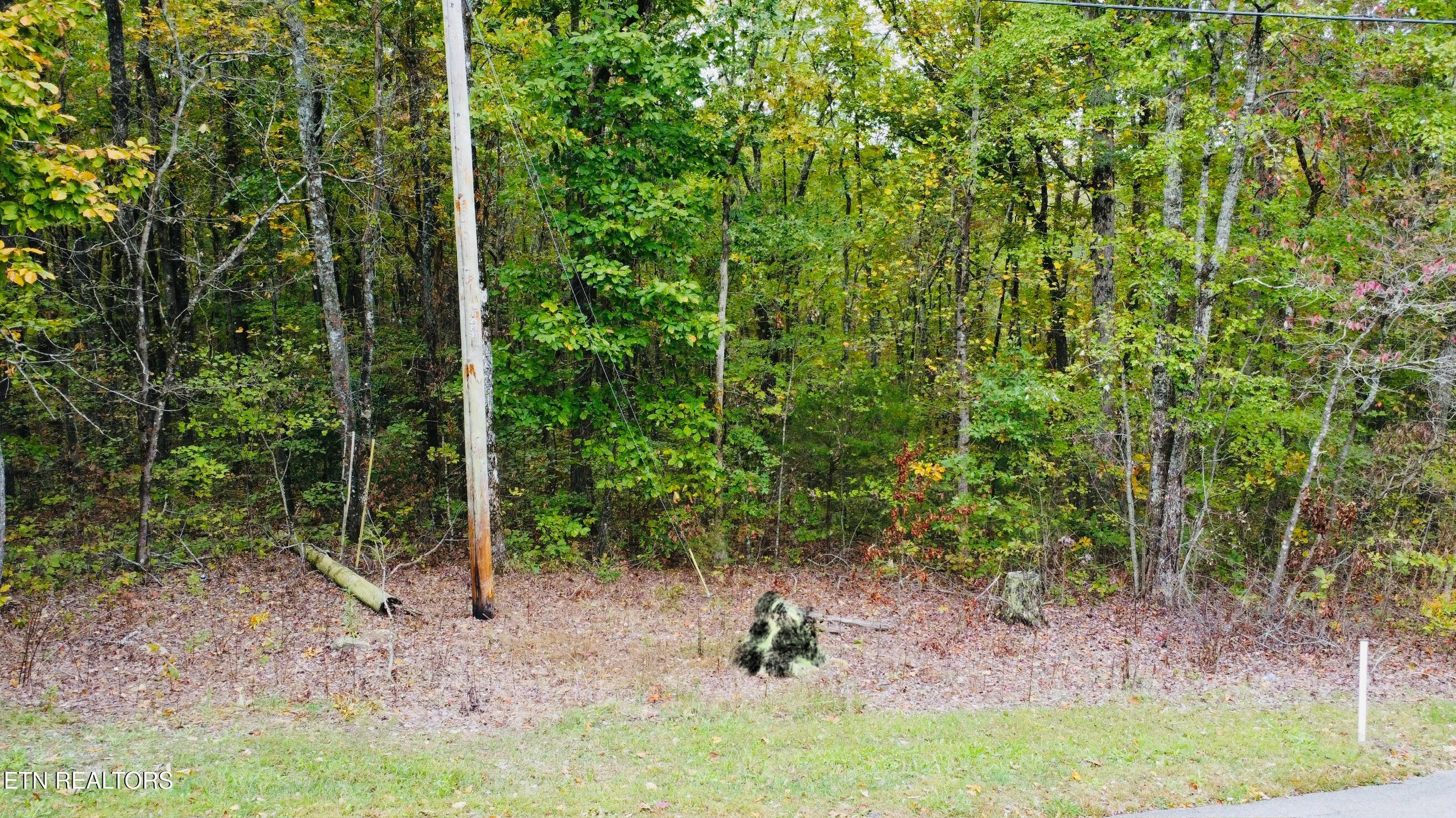 Crockett Lake Drive Property Photo 9