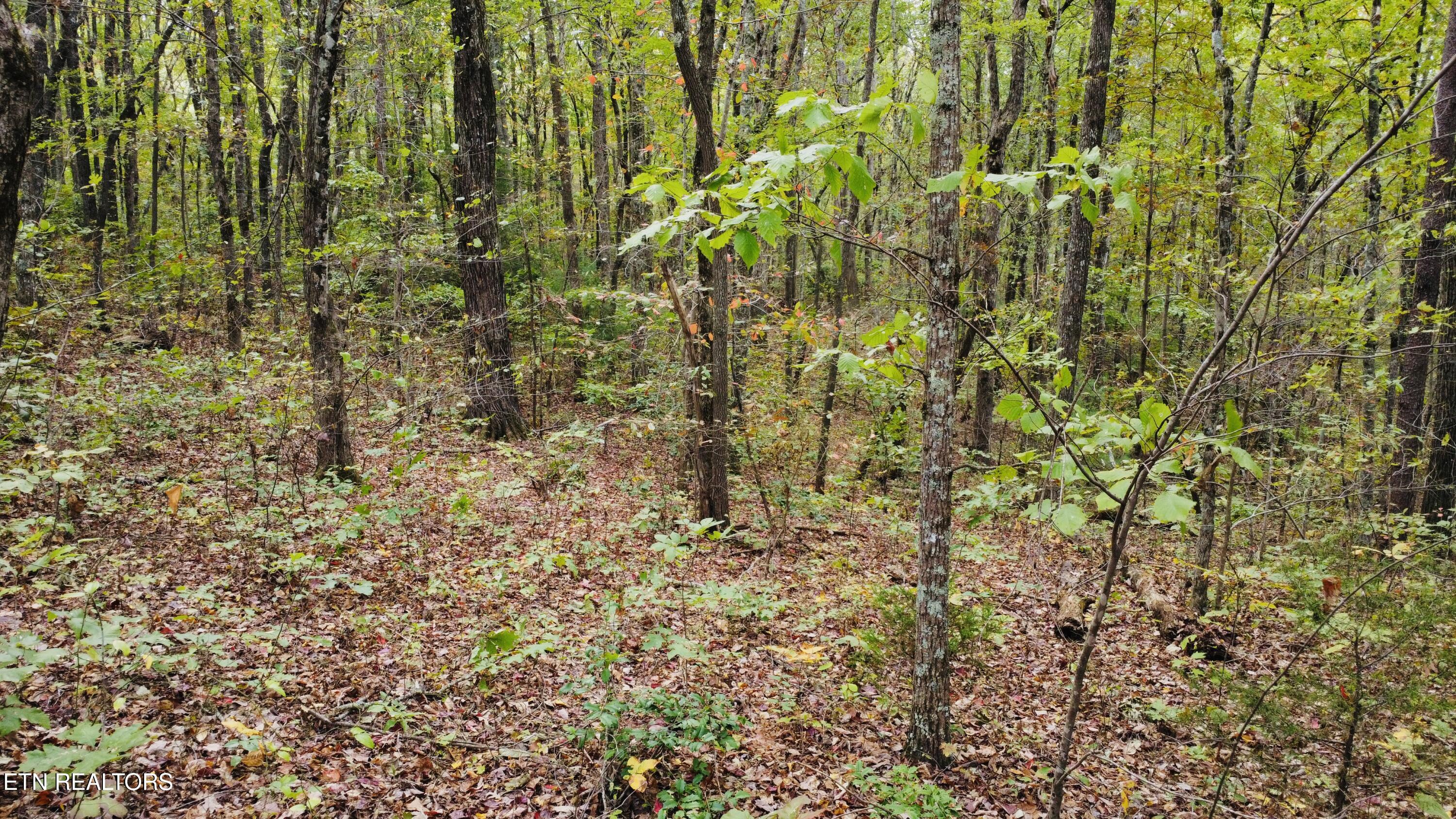 Crockett Lake Drive Property Photo 12