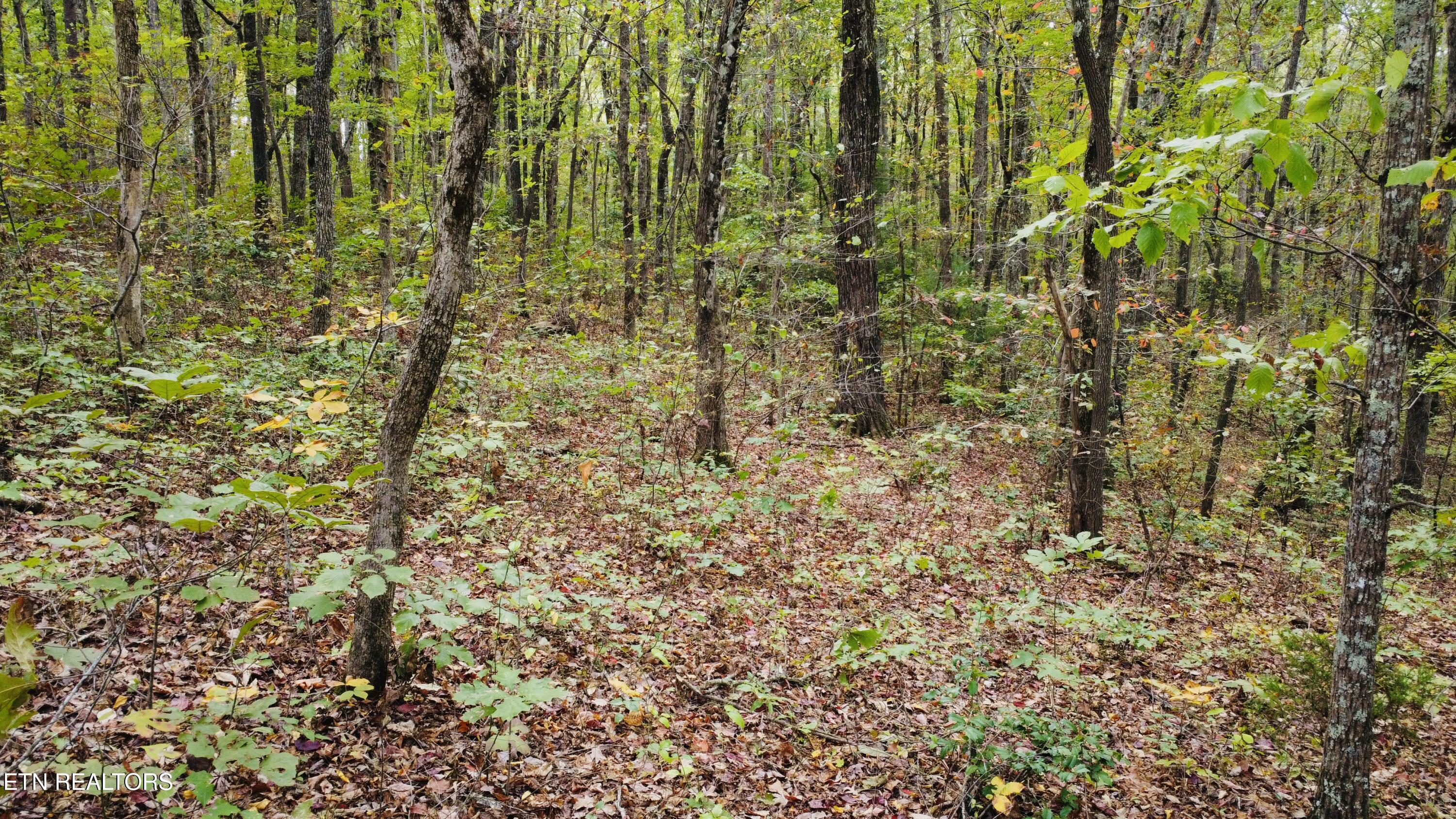 Crockett Lake Drive Property Photo 13