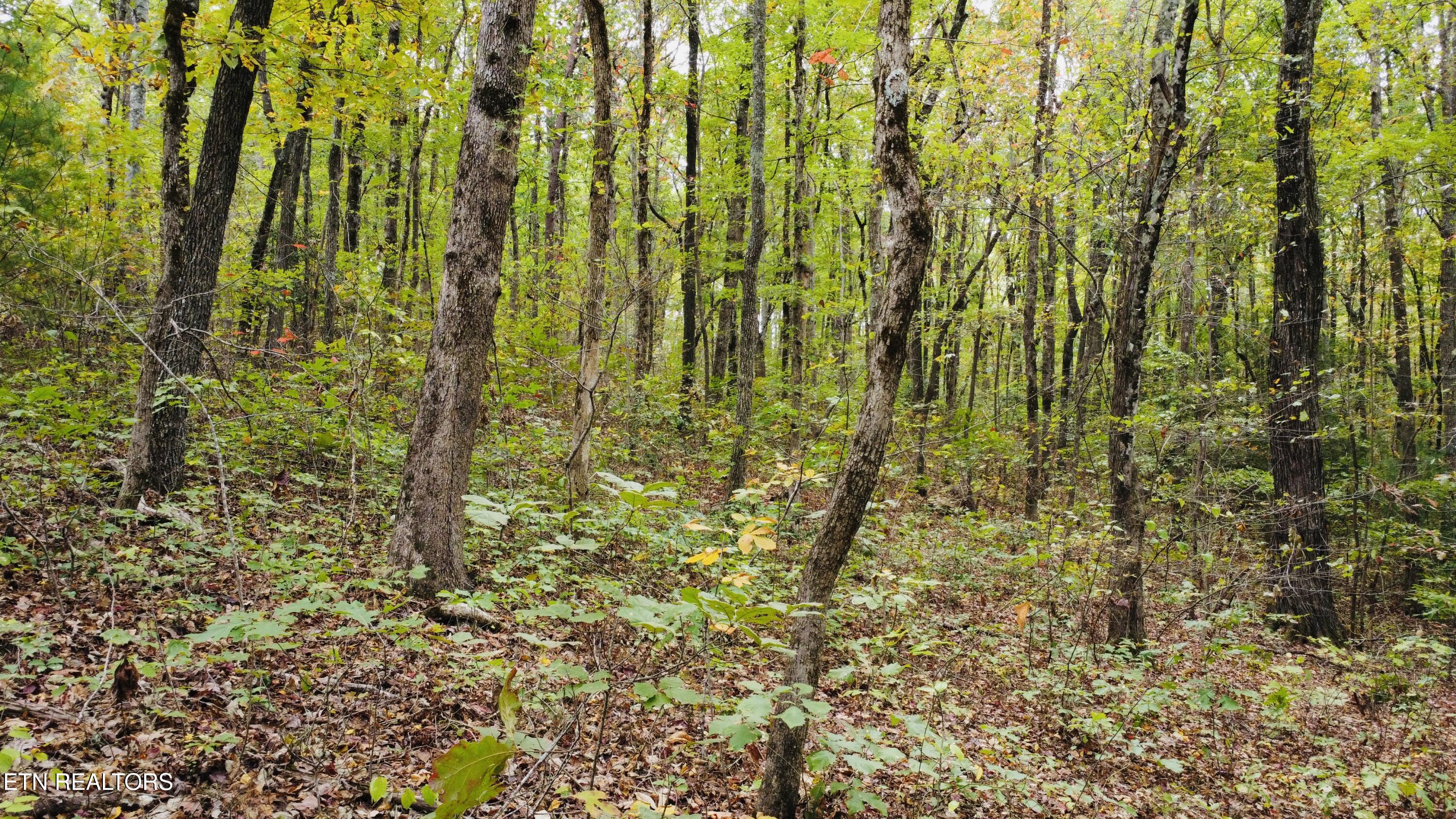 Crockett Lake Drive Property Photo 14