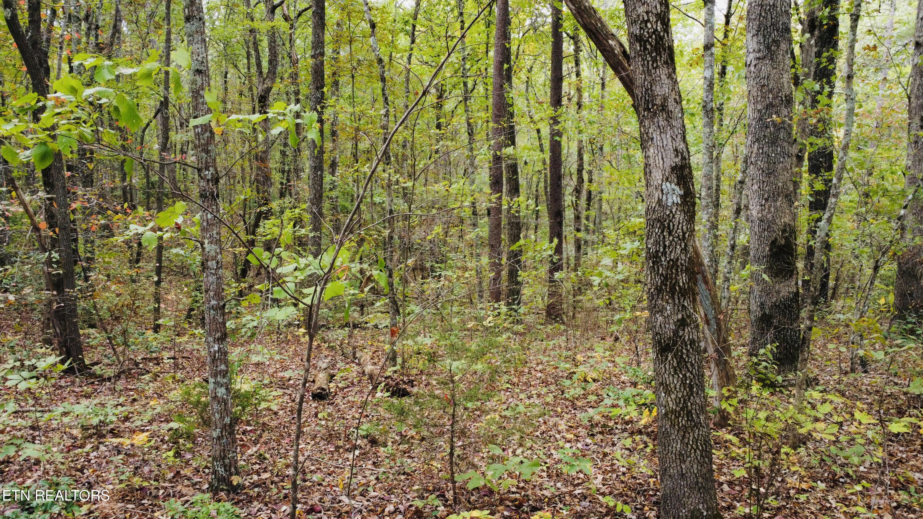 Crockett Lake Drive Property Photo 15