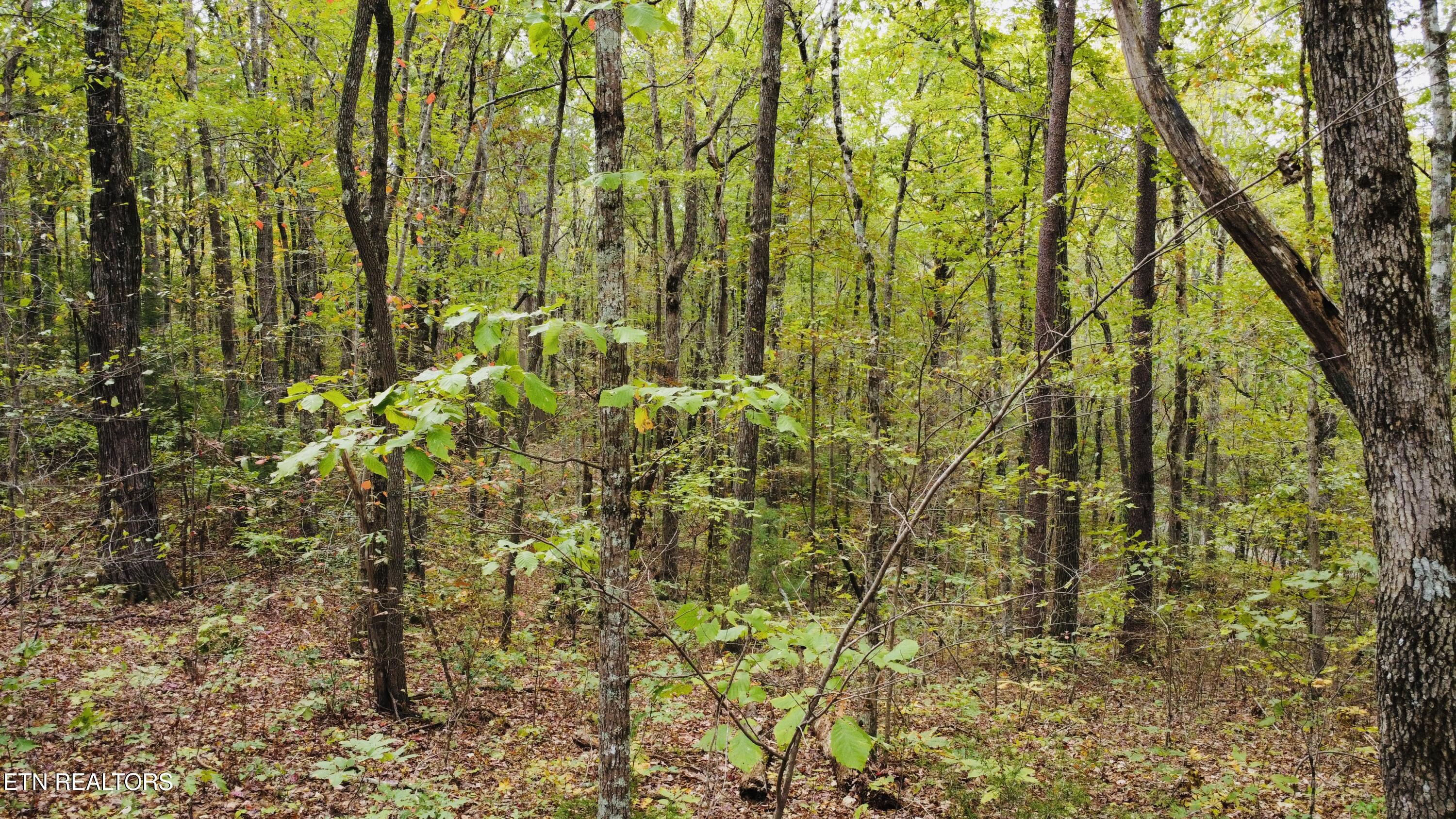 Crockett Lake Drive Property Photo 16