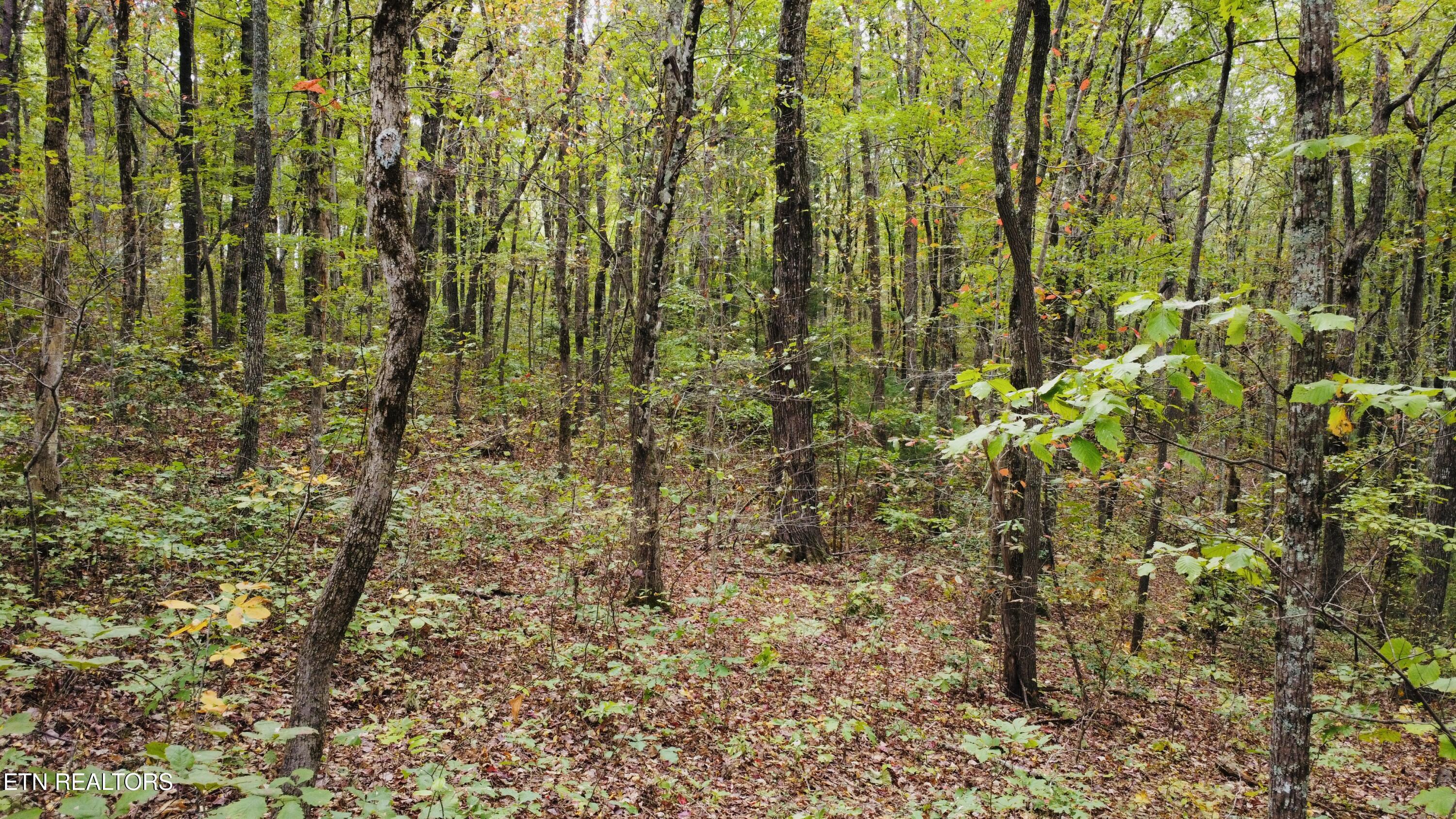 Crockett Lake Drive Property Photo 17