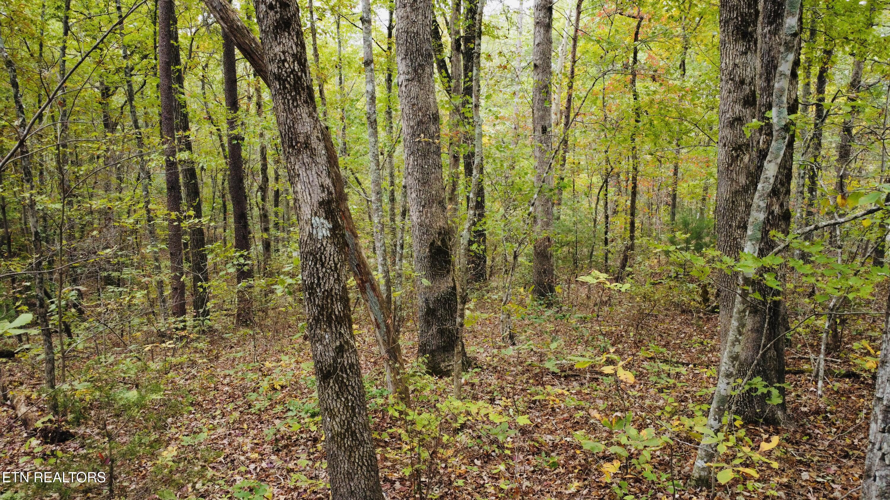 Crockett Lake Drive Property Photo 18